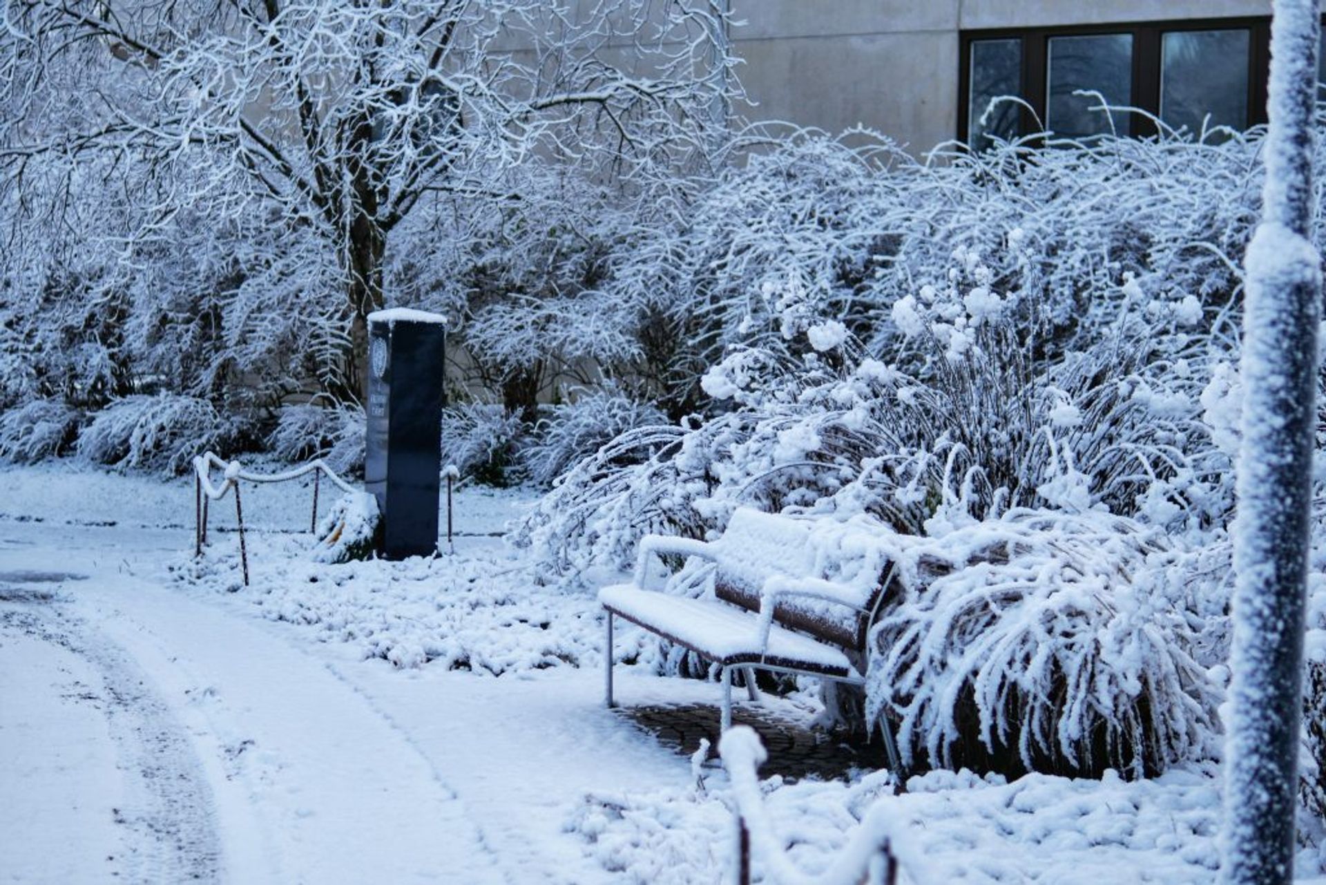 A bench in the park covered with snow. 