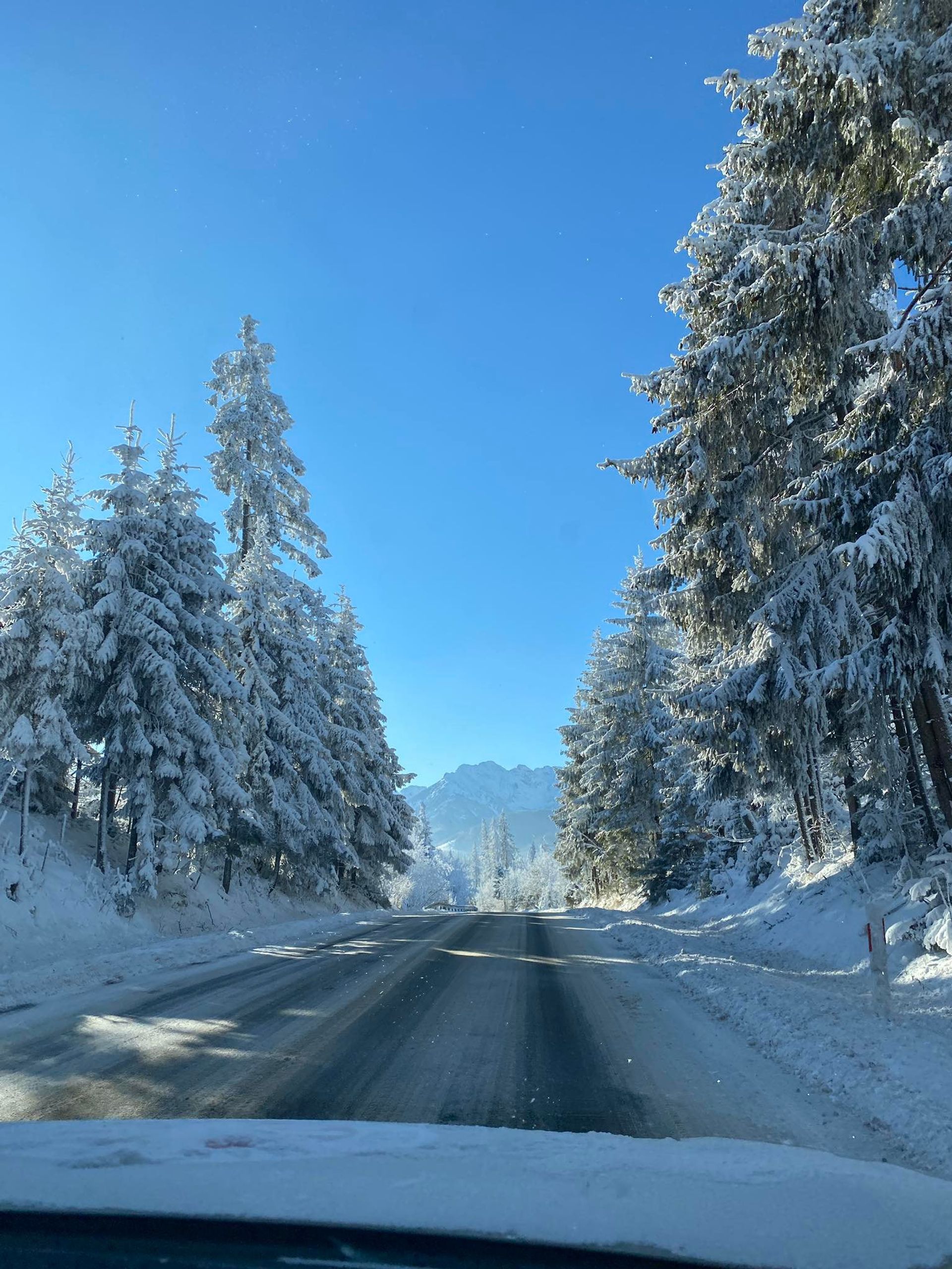 A picture from the car window of a snowy landscape with icy roads and snow-covered trees