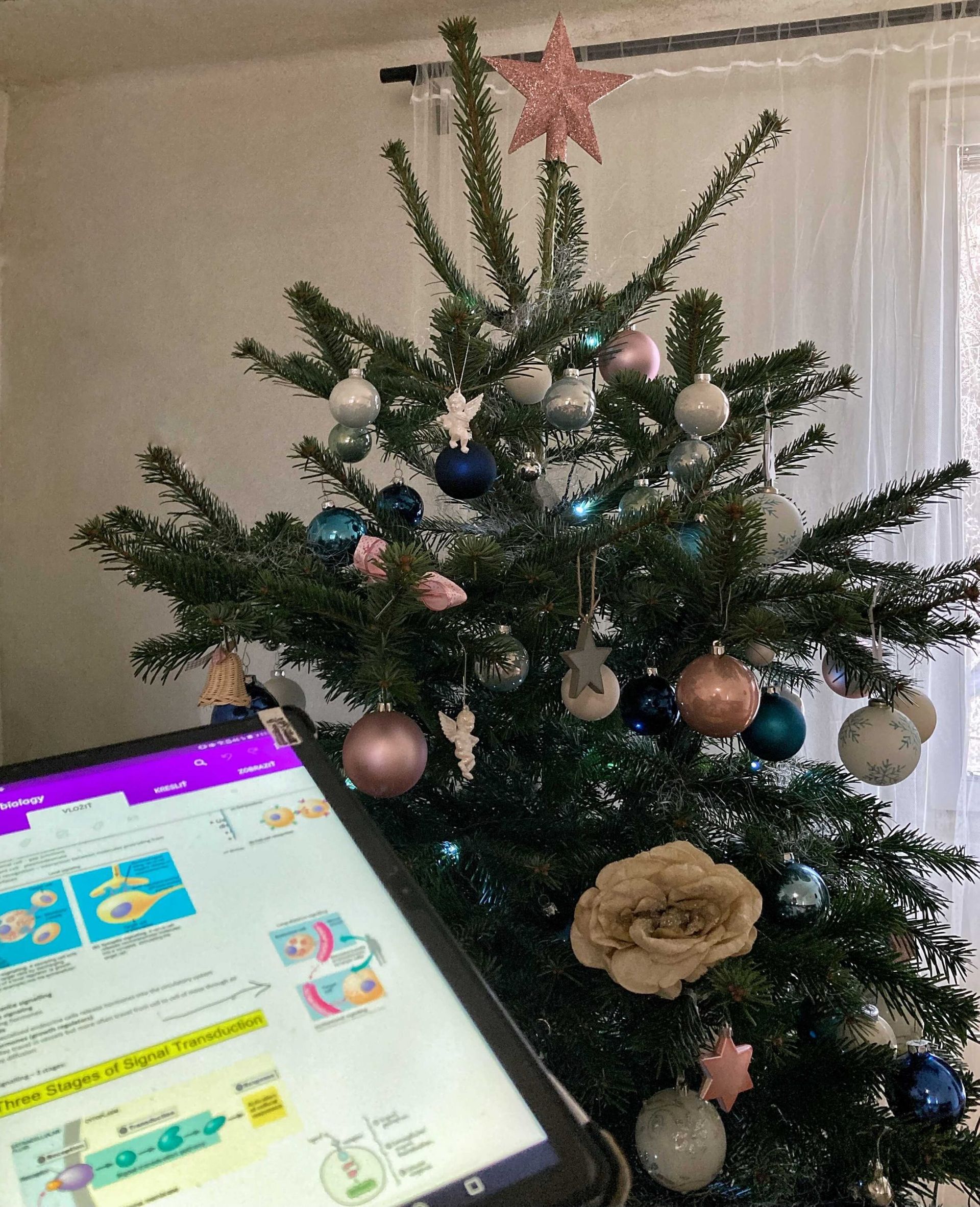 Tablet with notes in front of a Christmas tree.