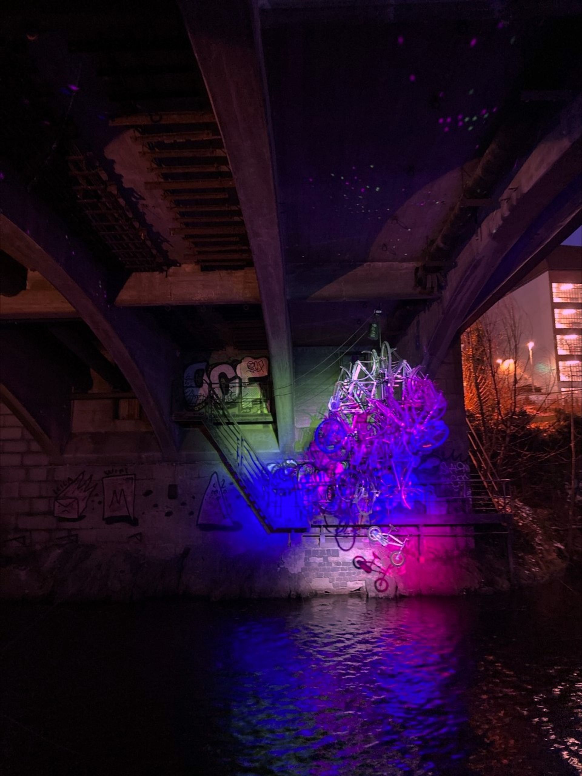 photo of bikes hanging together with neon lights