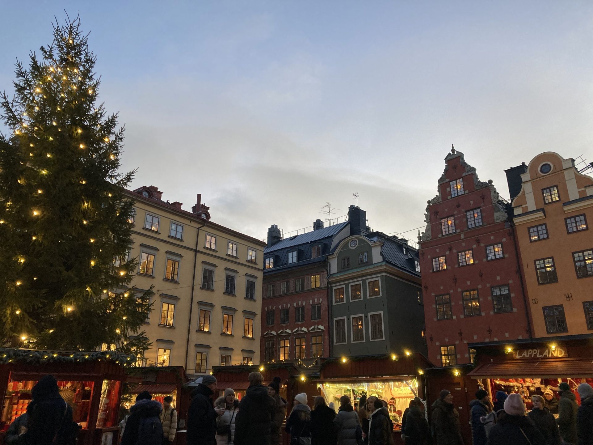 Photo of Christmas tree and market