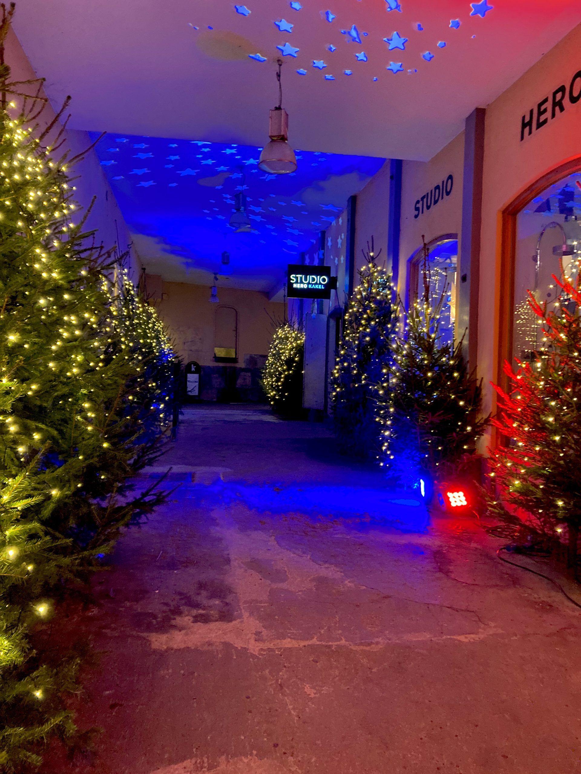 photo of christmas trees in hallway