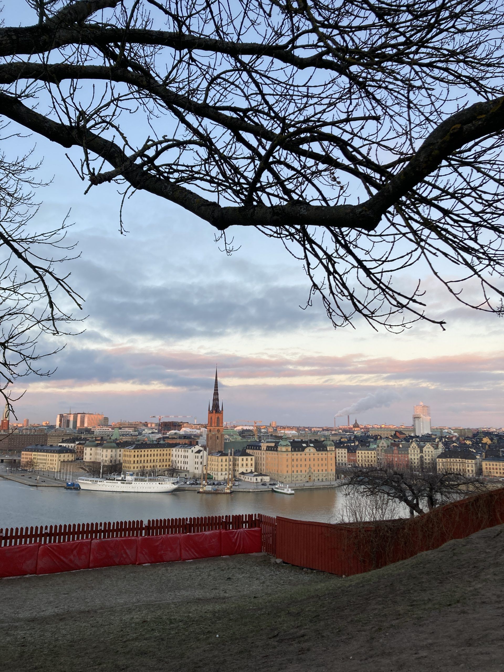 photo of park with city skyline