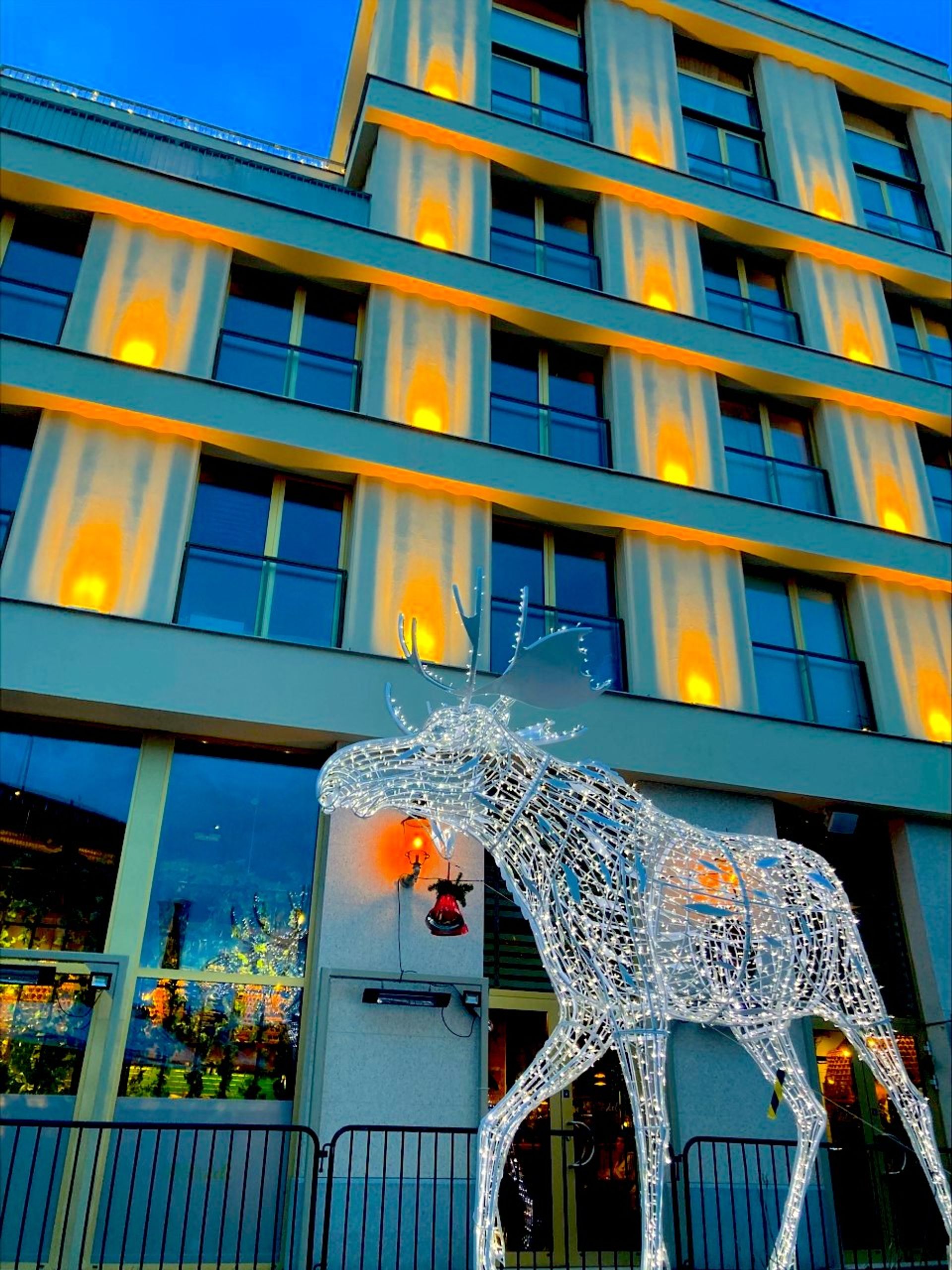 photo of illuminated moose