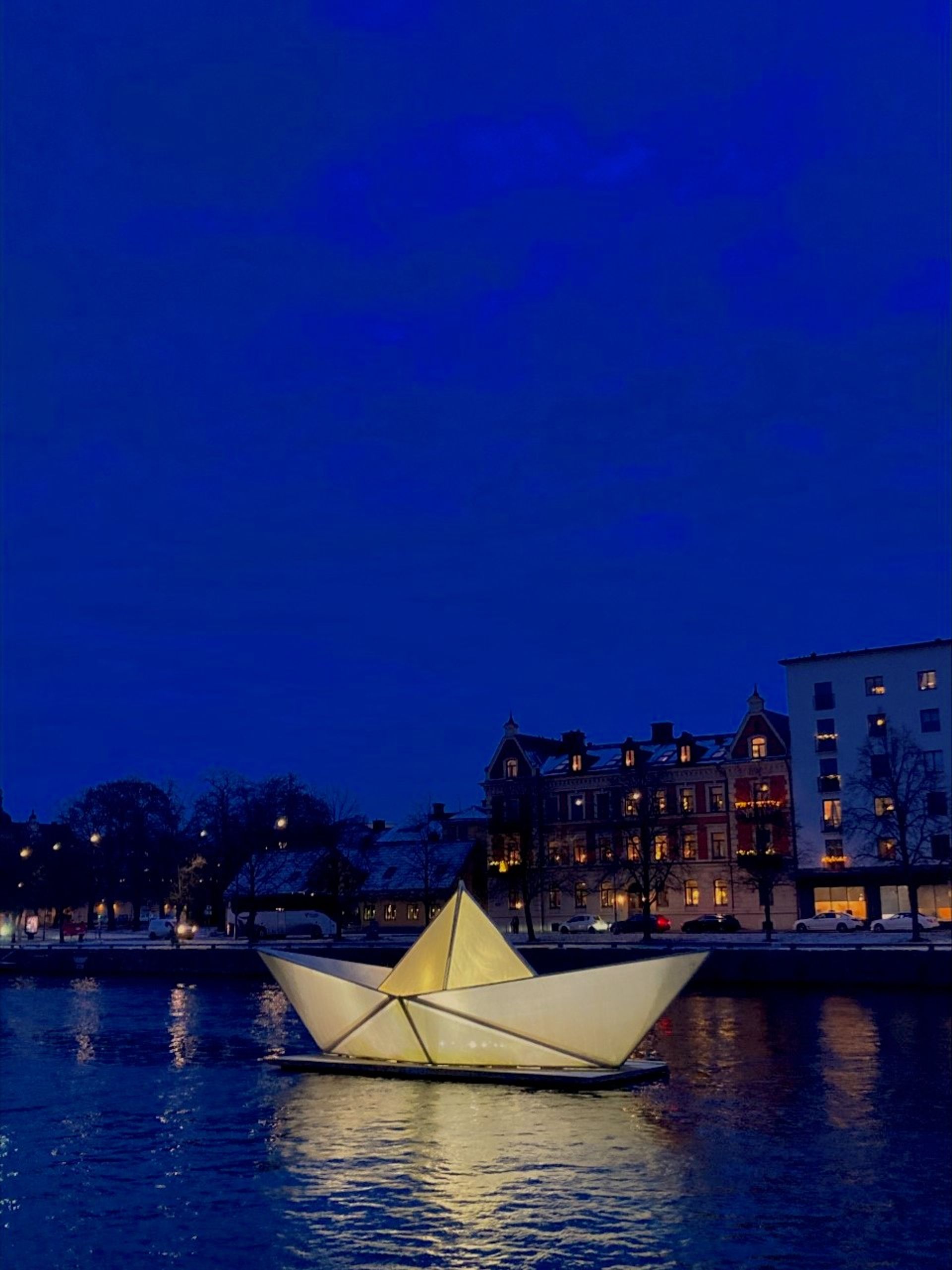 photo of star light installation on water