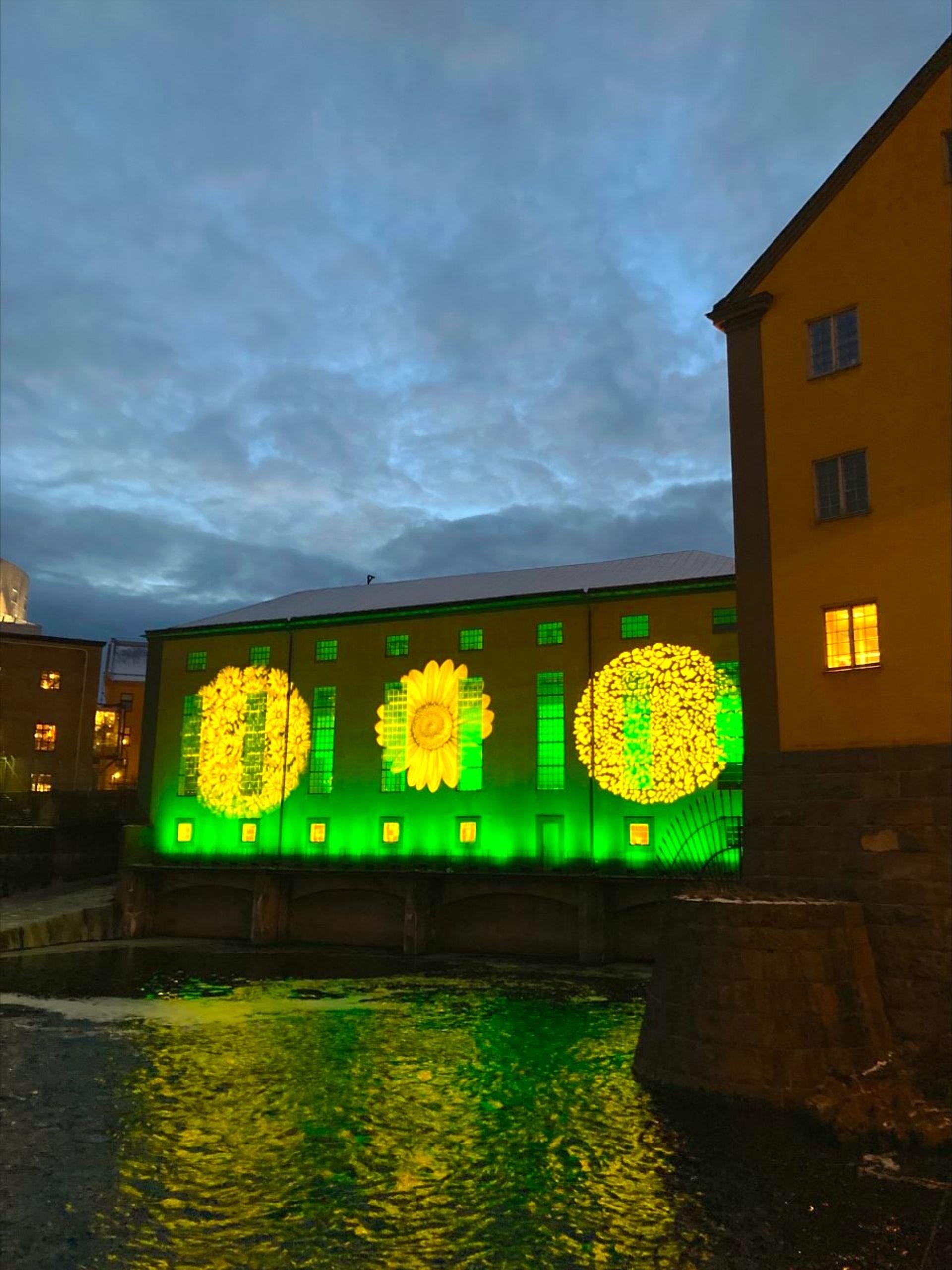 photo of sunflower projected onto building