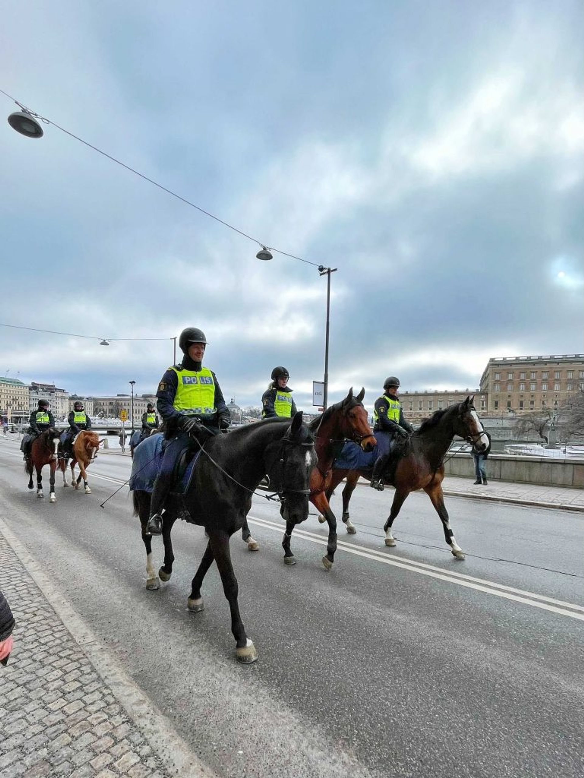 Police officers on horses in the city.