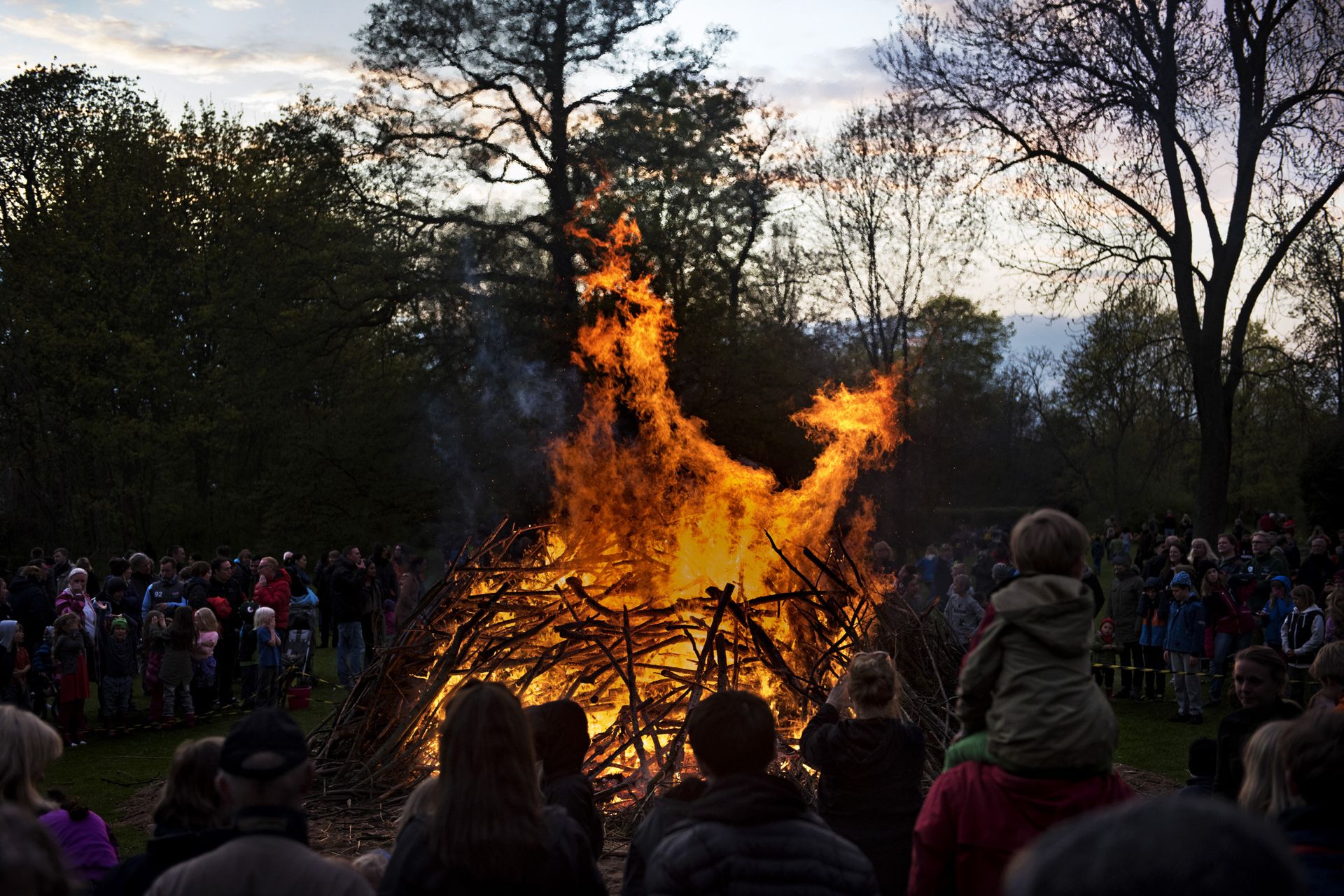 photo of bonfire