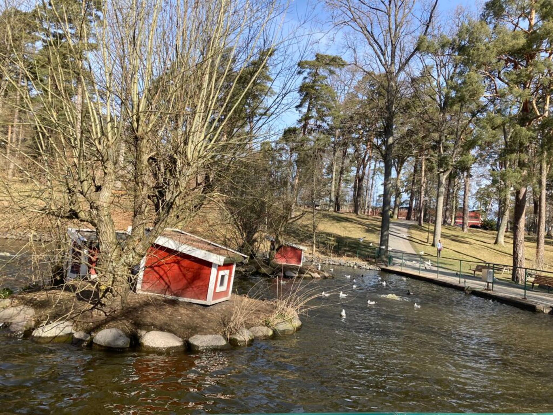 Idyllic lake setting with ducks, showcasing a small island in the center adorned with miniature houses.