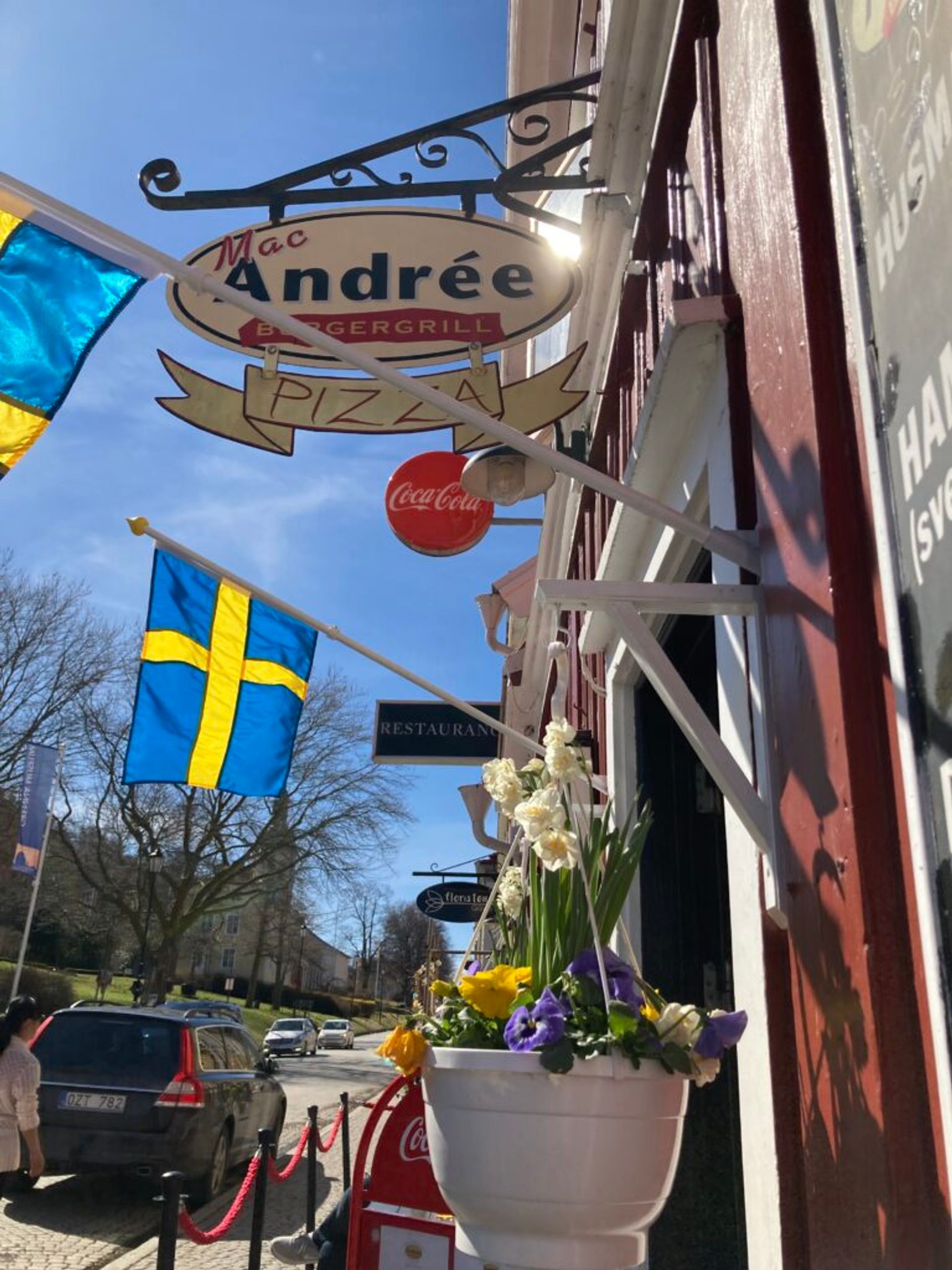 Shop signs along a roadside with a pot of flowers in the foreground.