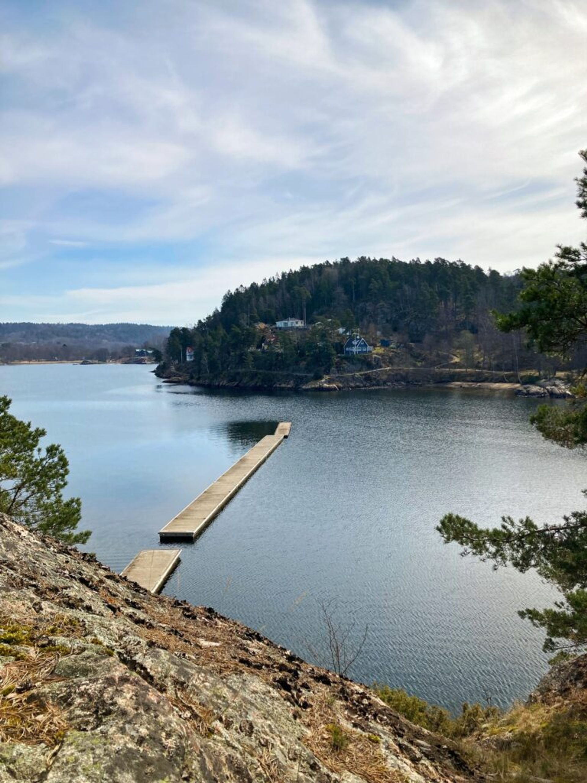 Overhead shot of a bridge across the water, surrounded by a coastal landscape of trees and houses.