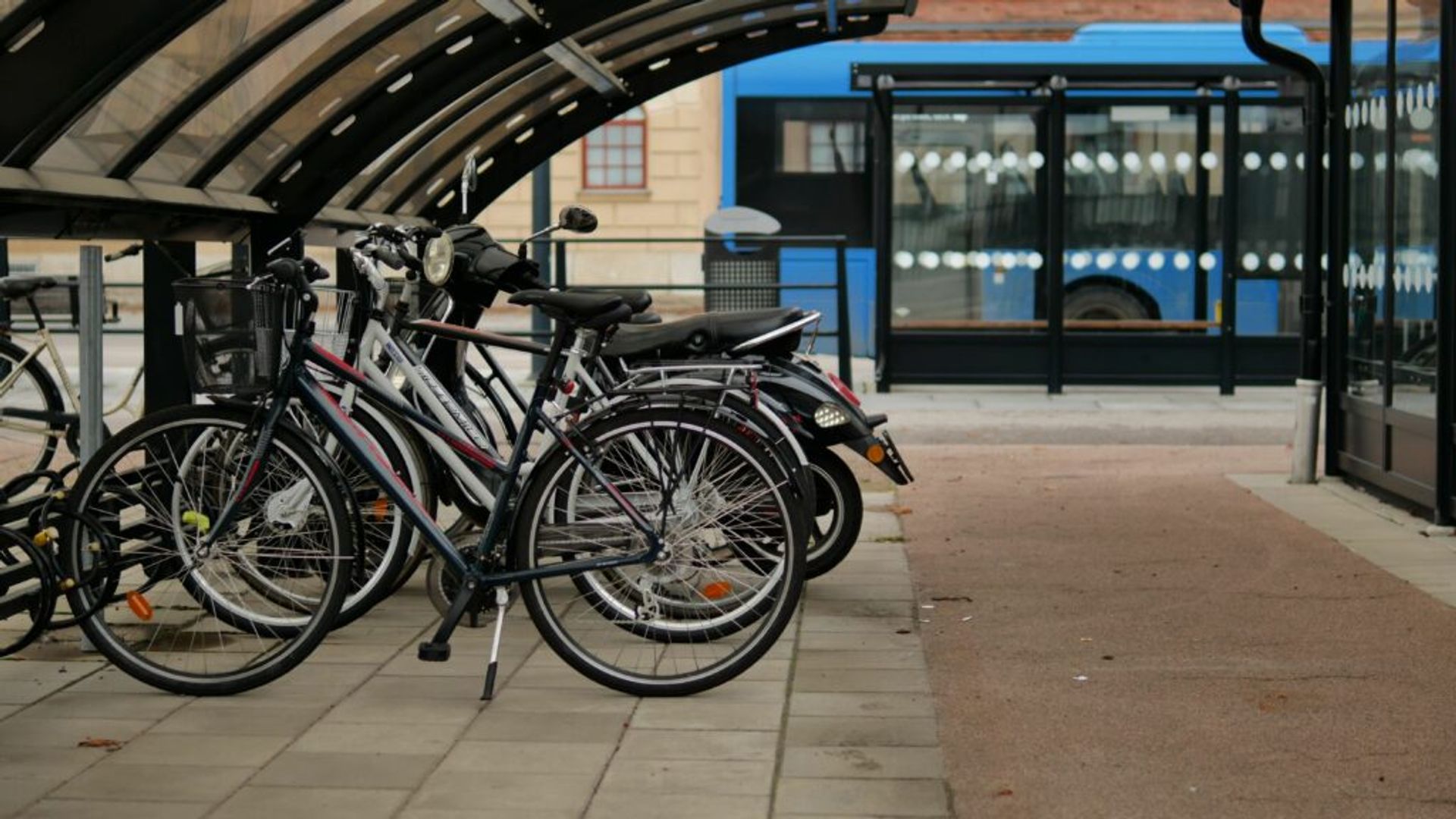 A row of bicycles parked by a bus stop.