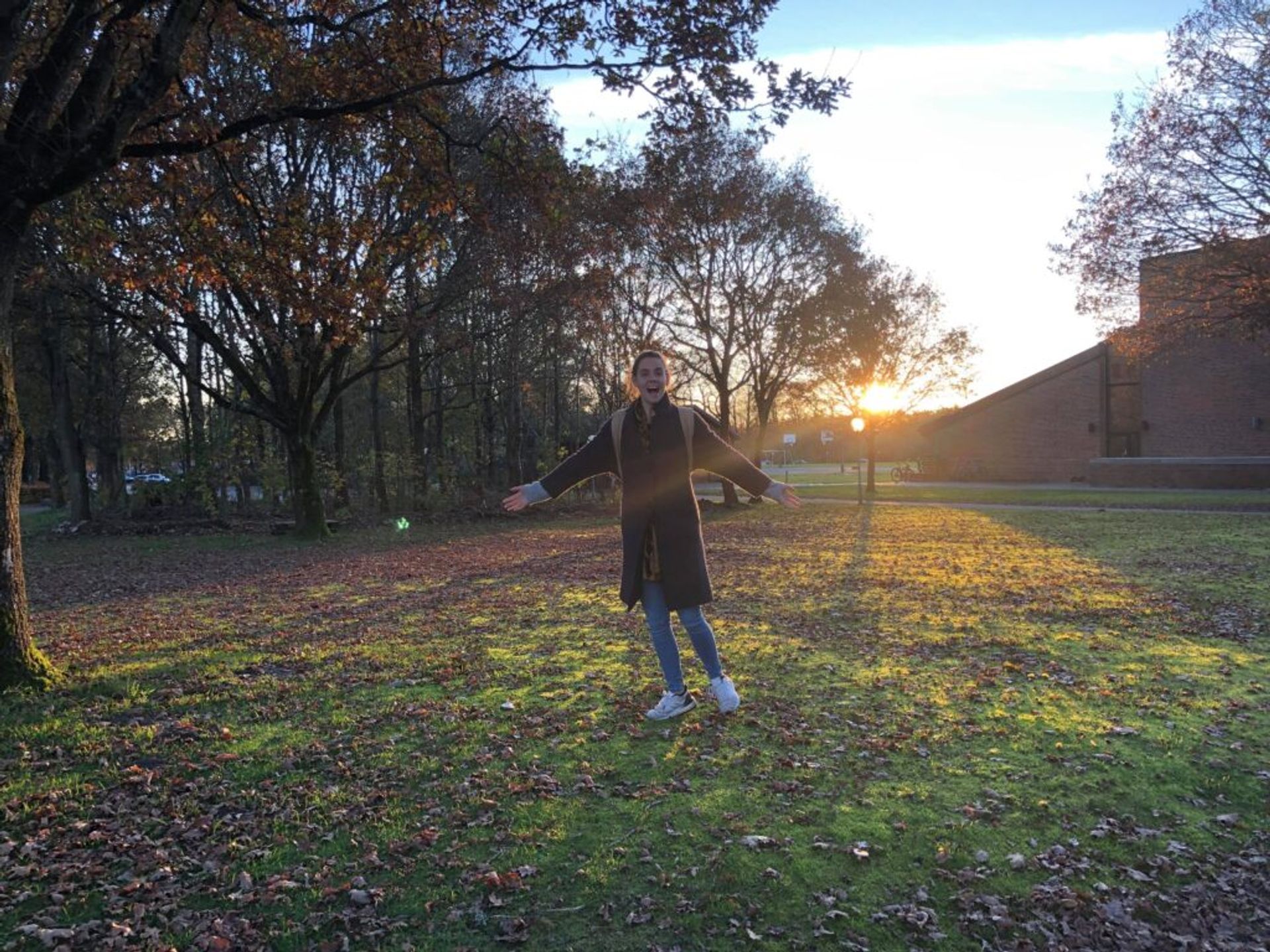 A figure stands before a vibrant sunset in a park.