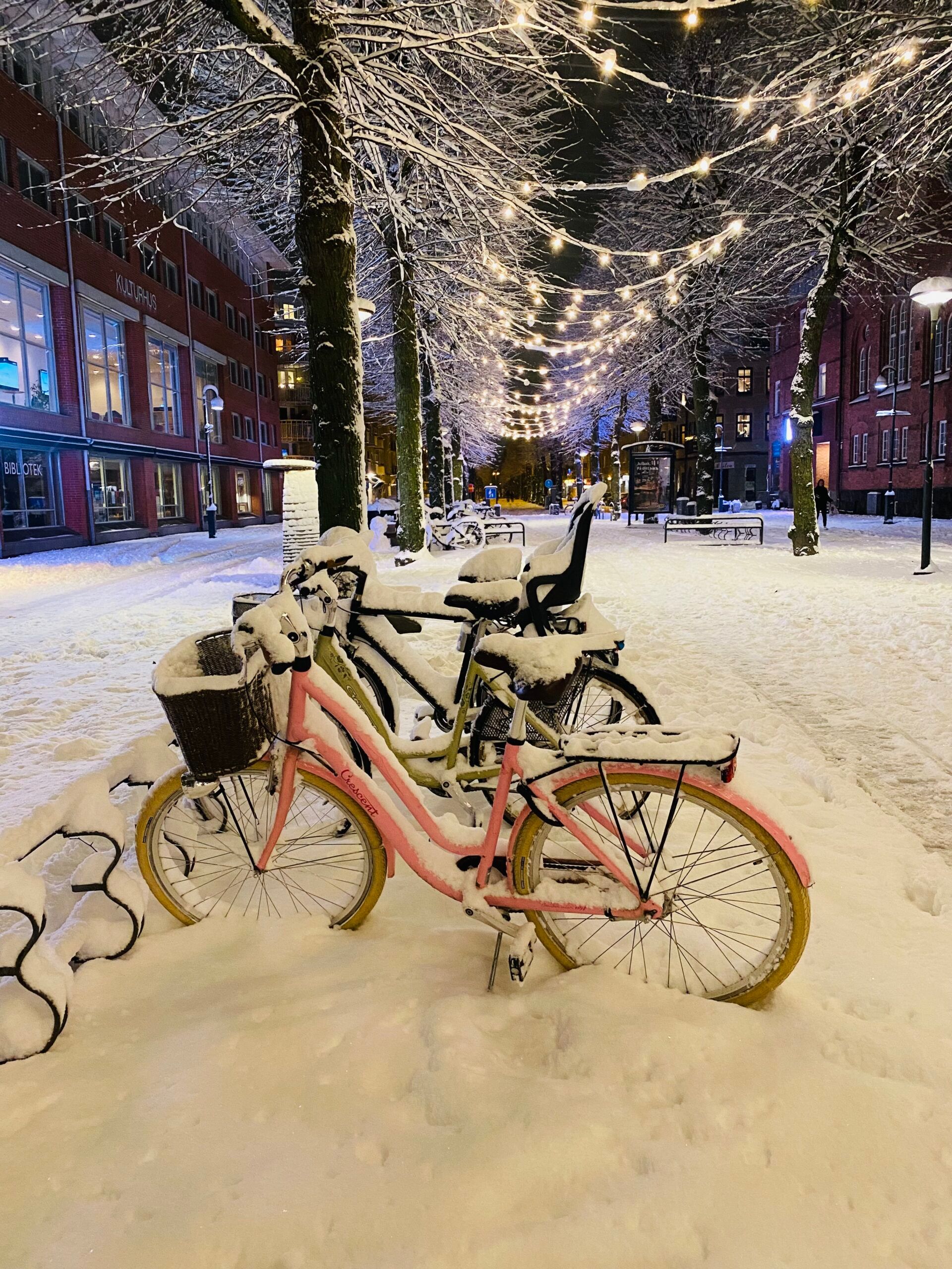 An urban pedestrian path lined with frosty trees and Christmas lights.