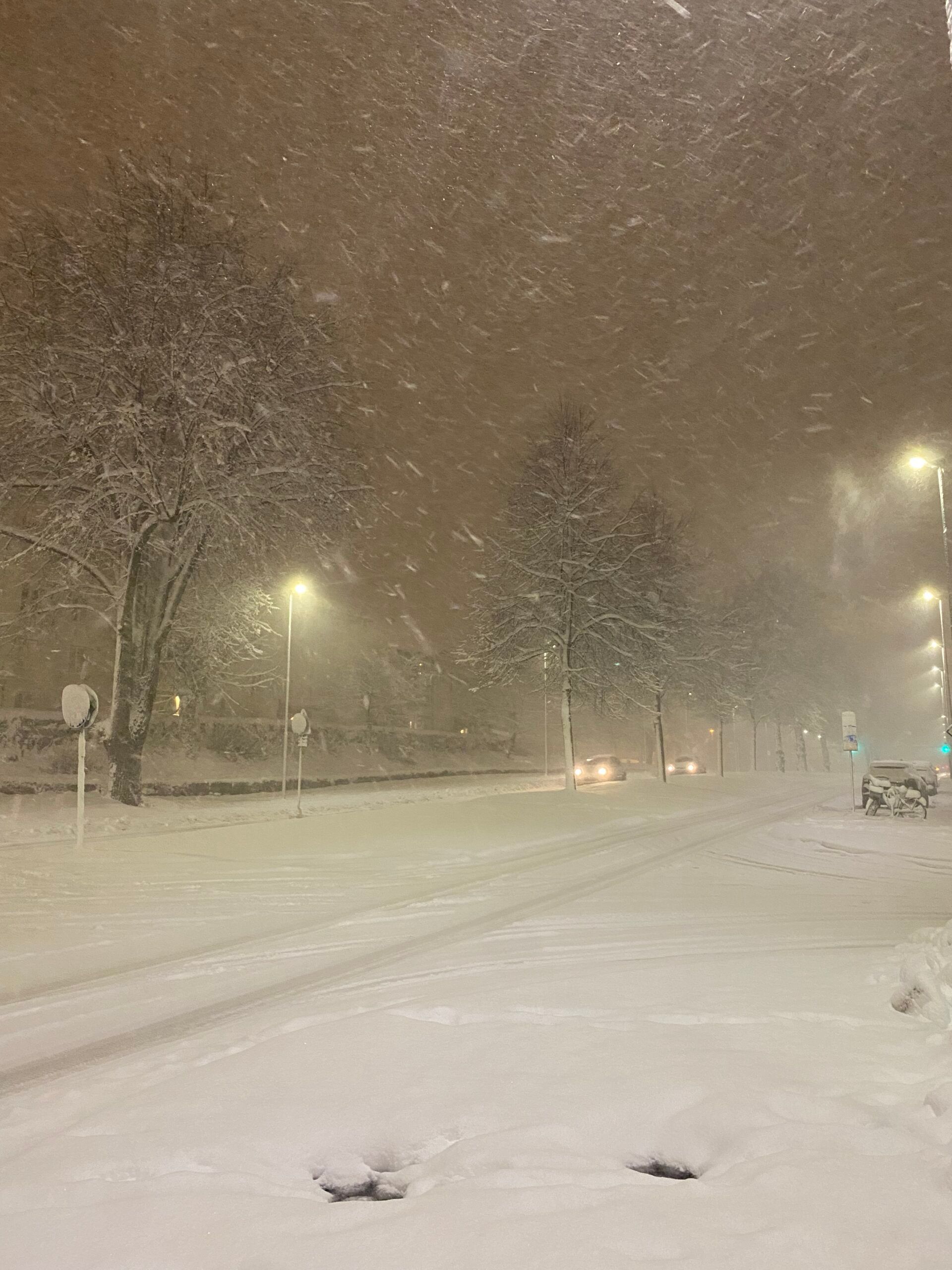 A snow-covered road disappears into the swirling chaos of a snowstorm.