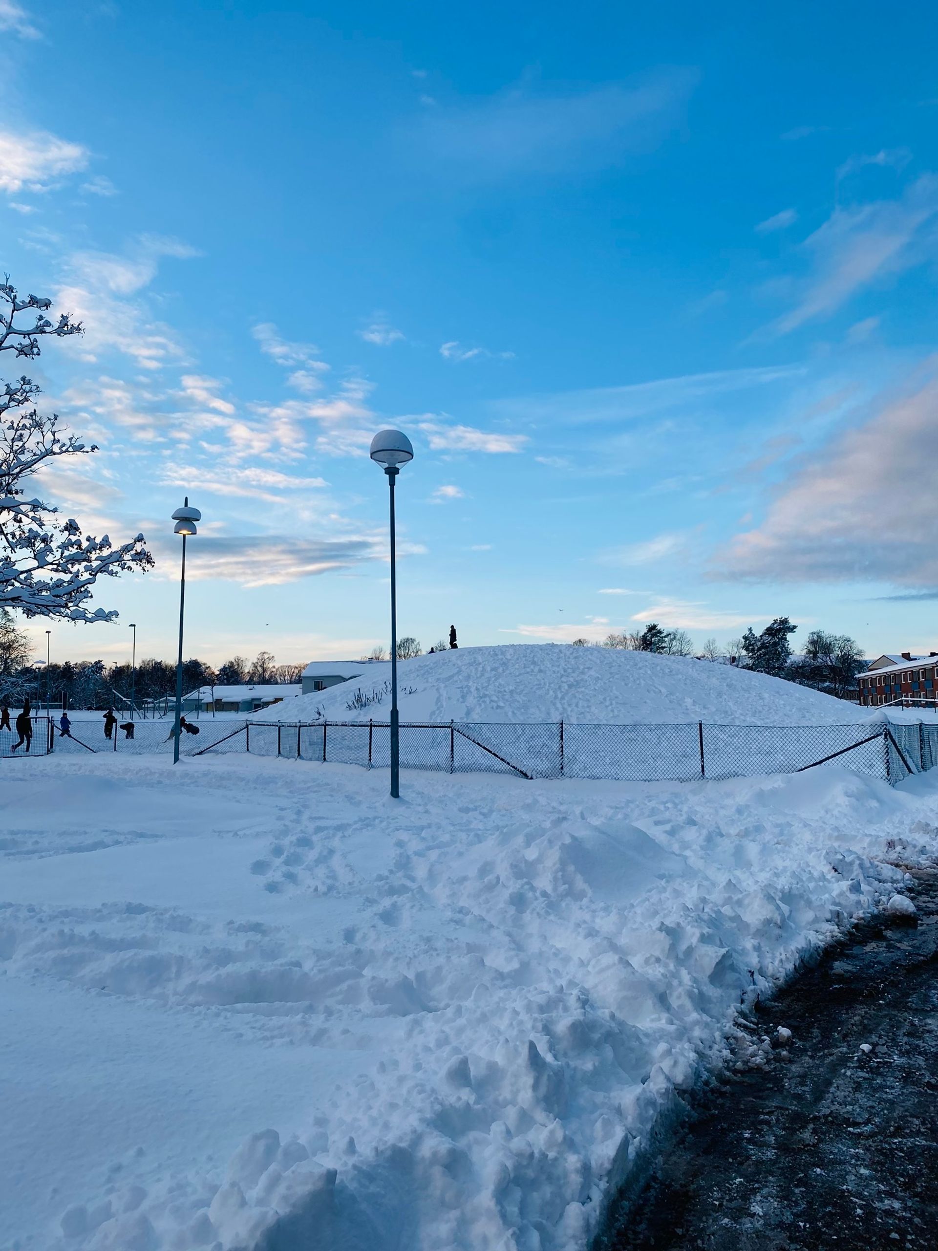 A snow-covered hill with kids playing.