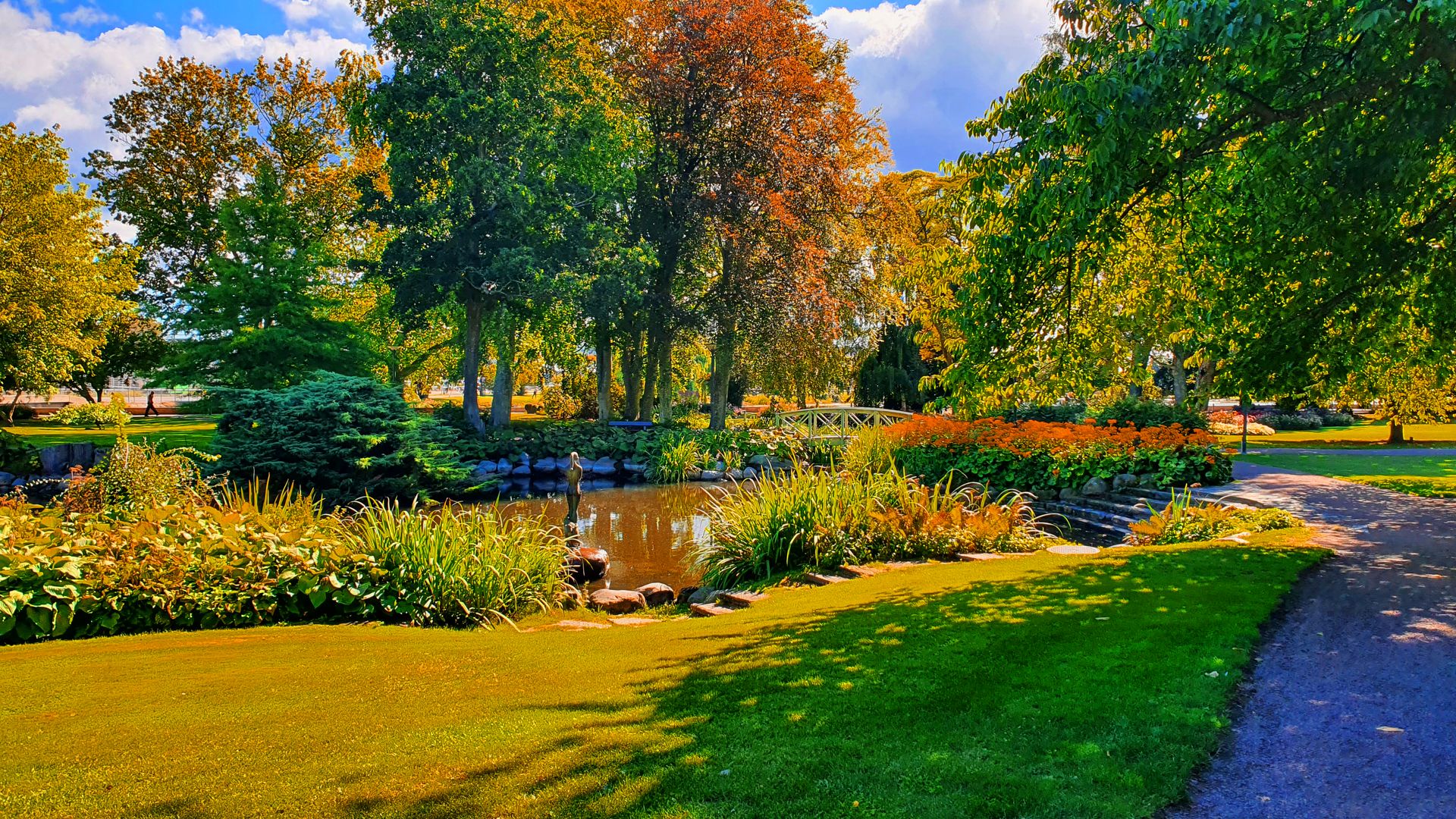 A lush park scene with a variety of trees, a small bridge over a pond, and a walking path.