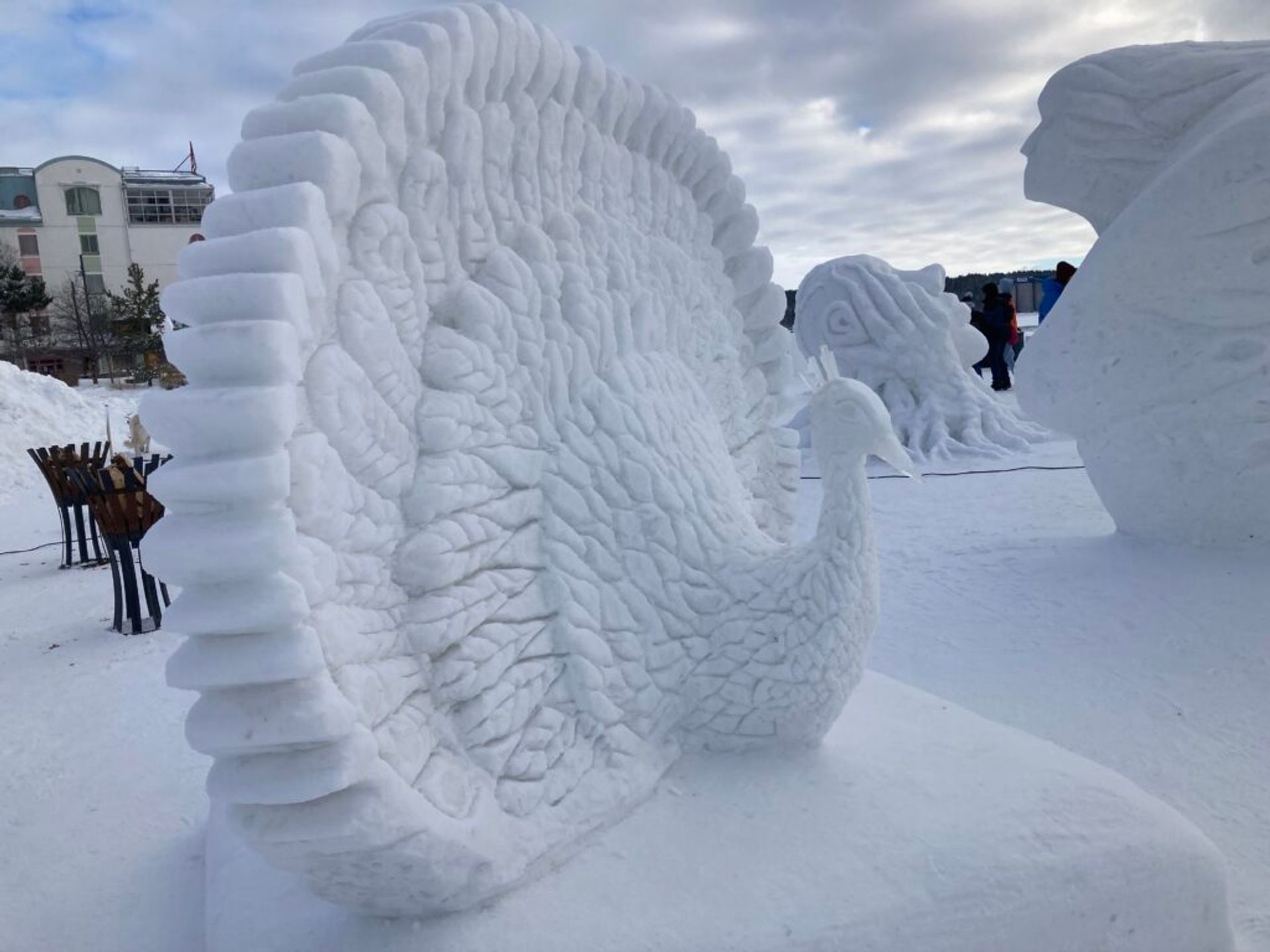 An ice sculpture depicting a peacock.