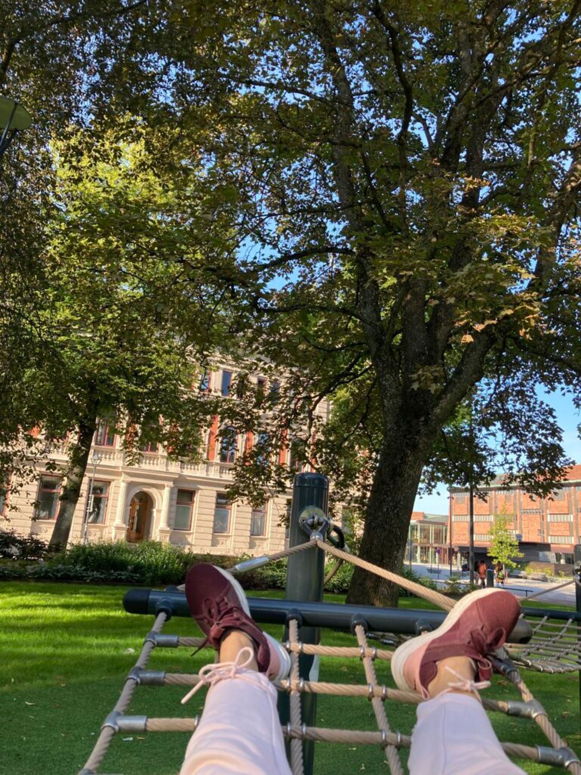 The lower half of a person is depicted lying on a hammock in a park.