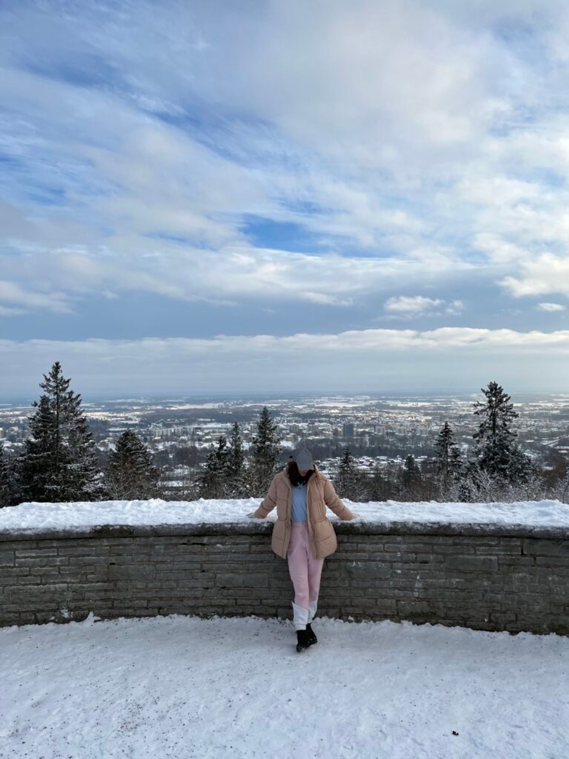 A woman stands at a scenic viewpoint, with a wintry landscape as her backdrop.