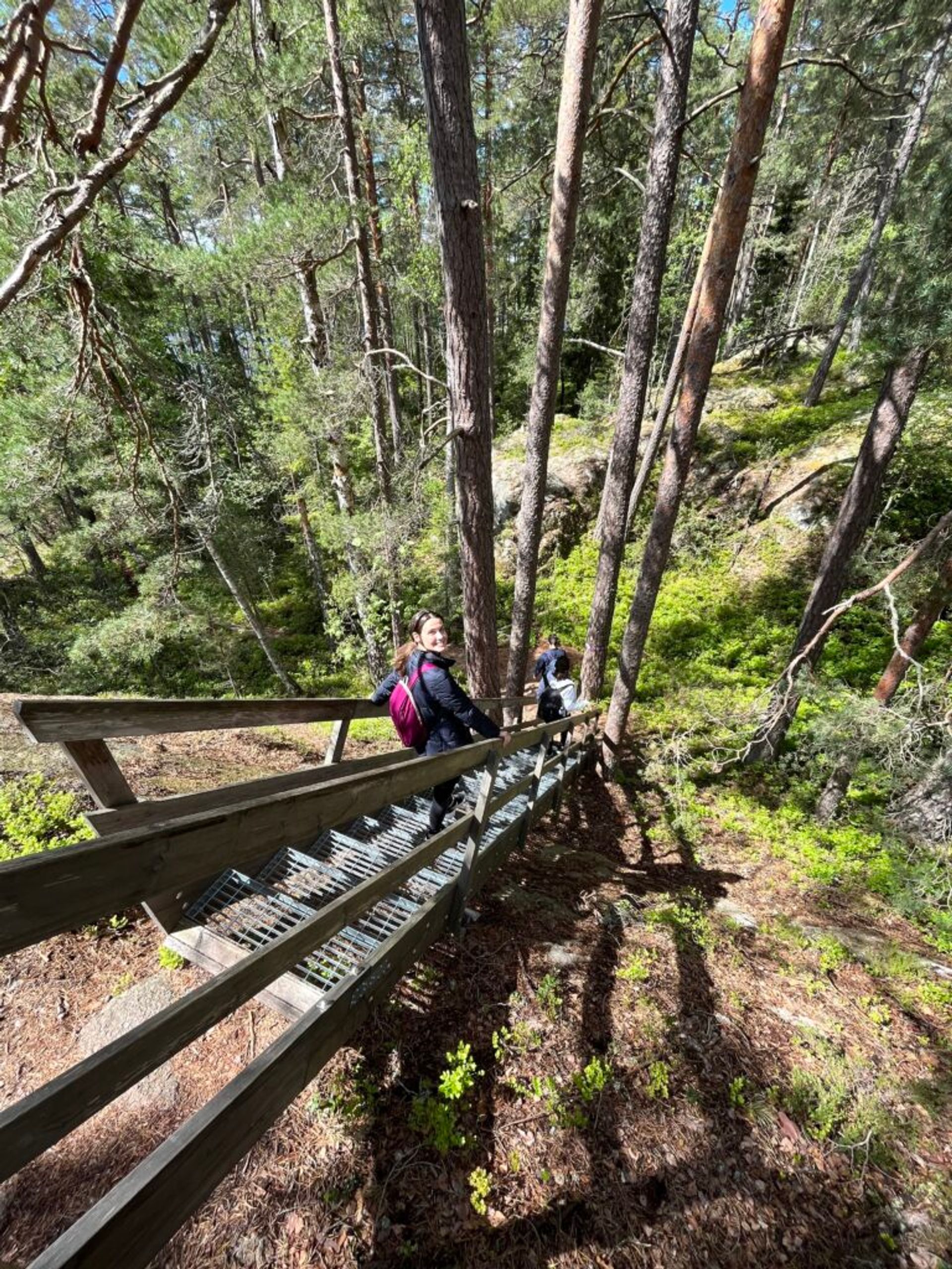 A couple of people strolling down a staircase nestled in a forest setting.