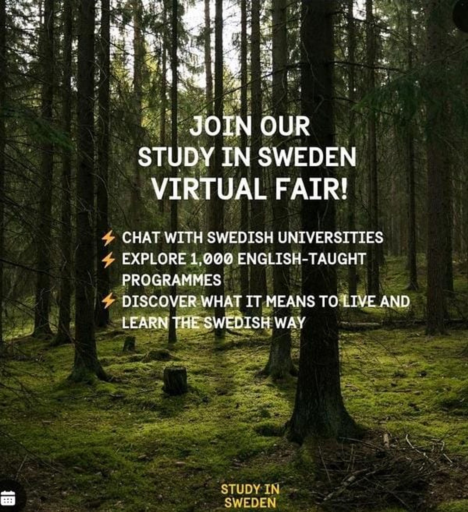 A poster advertising Study in Sweden's Virtual Fair.