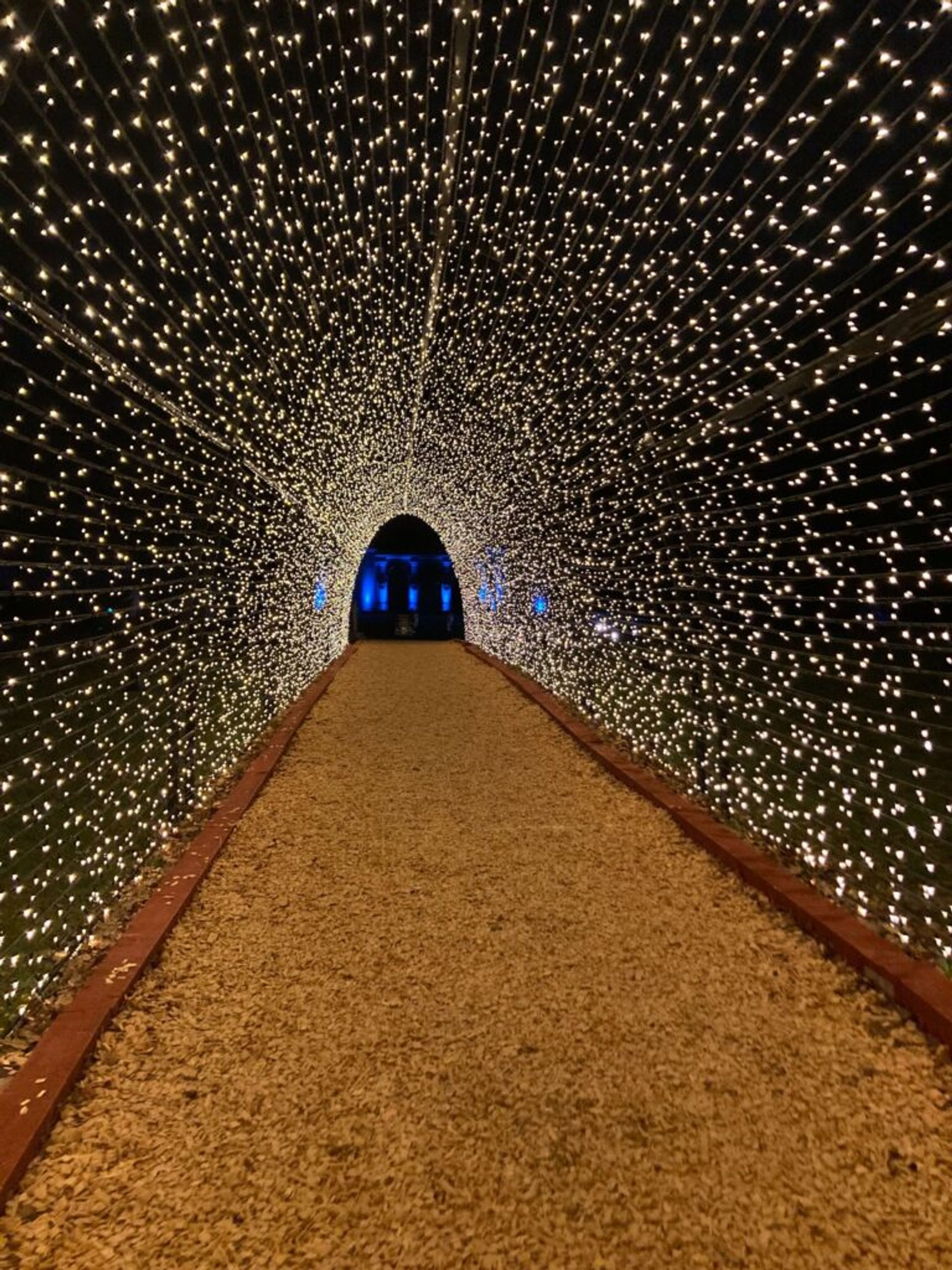 String light tunnel