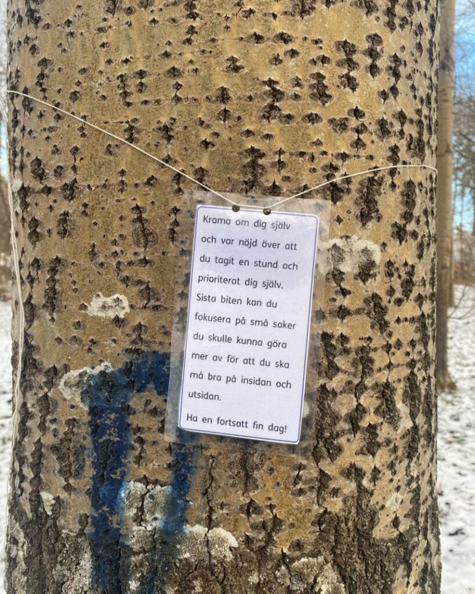 A mindful quote tied to a tree in a Swedish forest during winter.