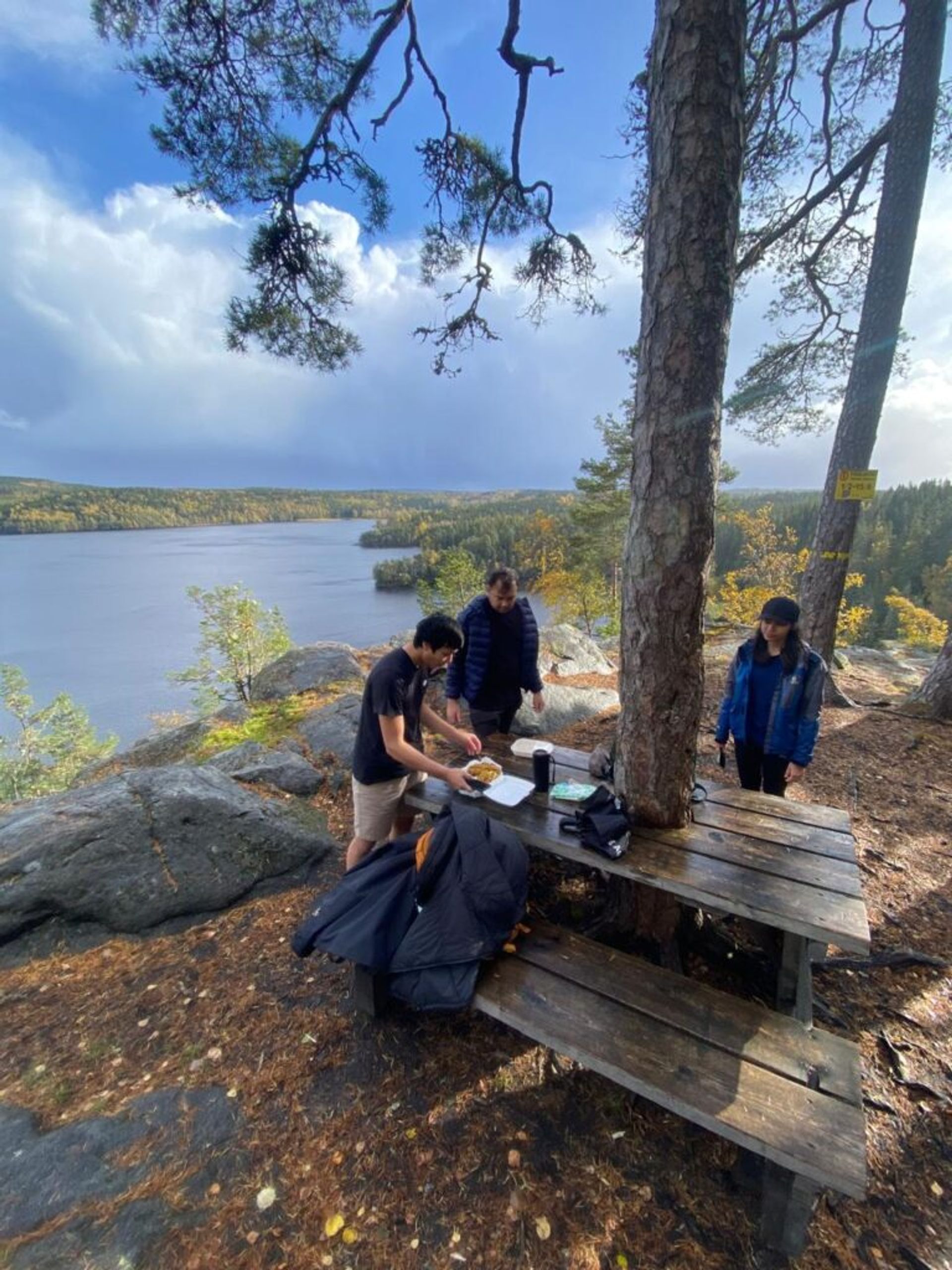 International students resting at the top of a hill by a lake.
