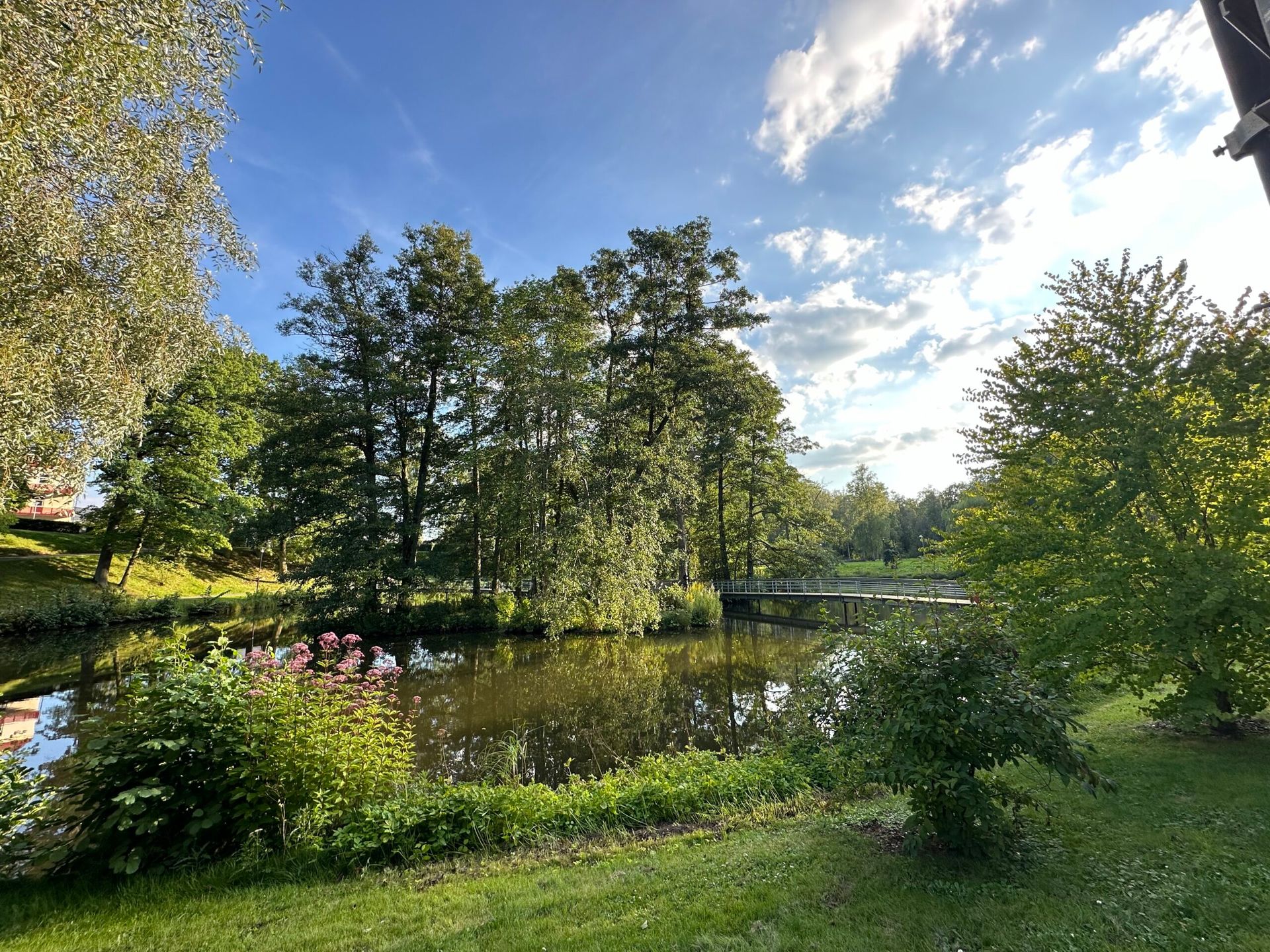 a park with a pond on a sunny summer day