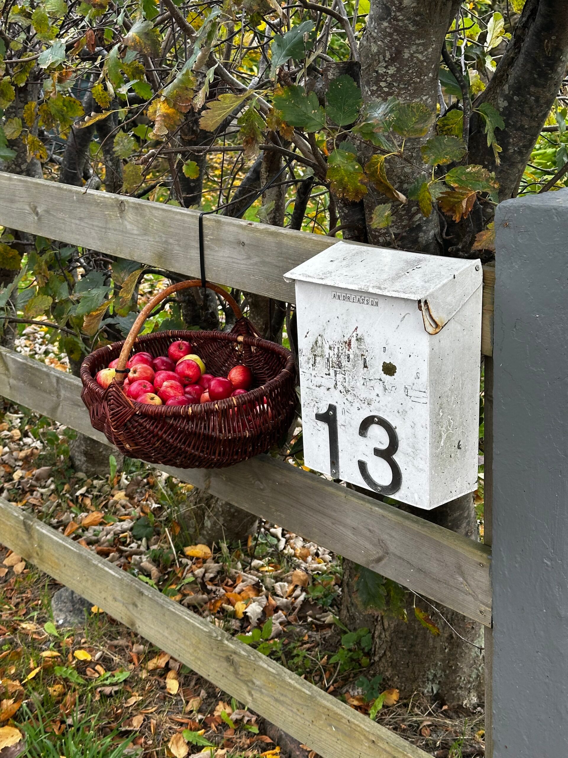 a basket of apples hanged on a fence