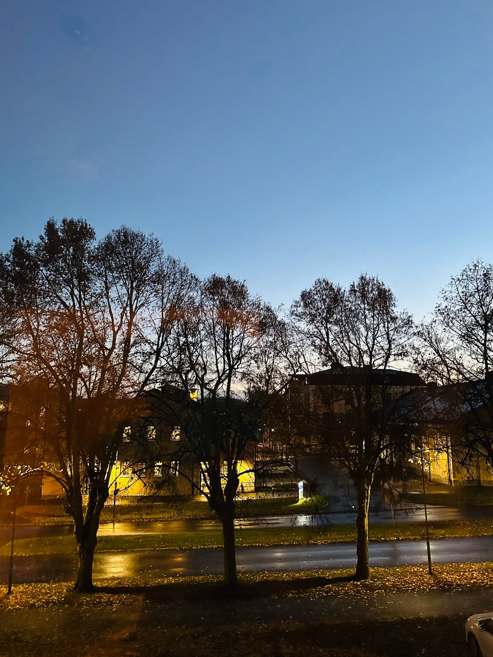 A dimly lit outdoor image of the sun setting through some trees