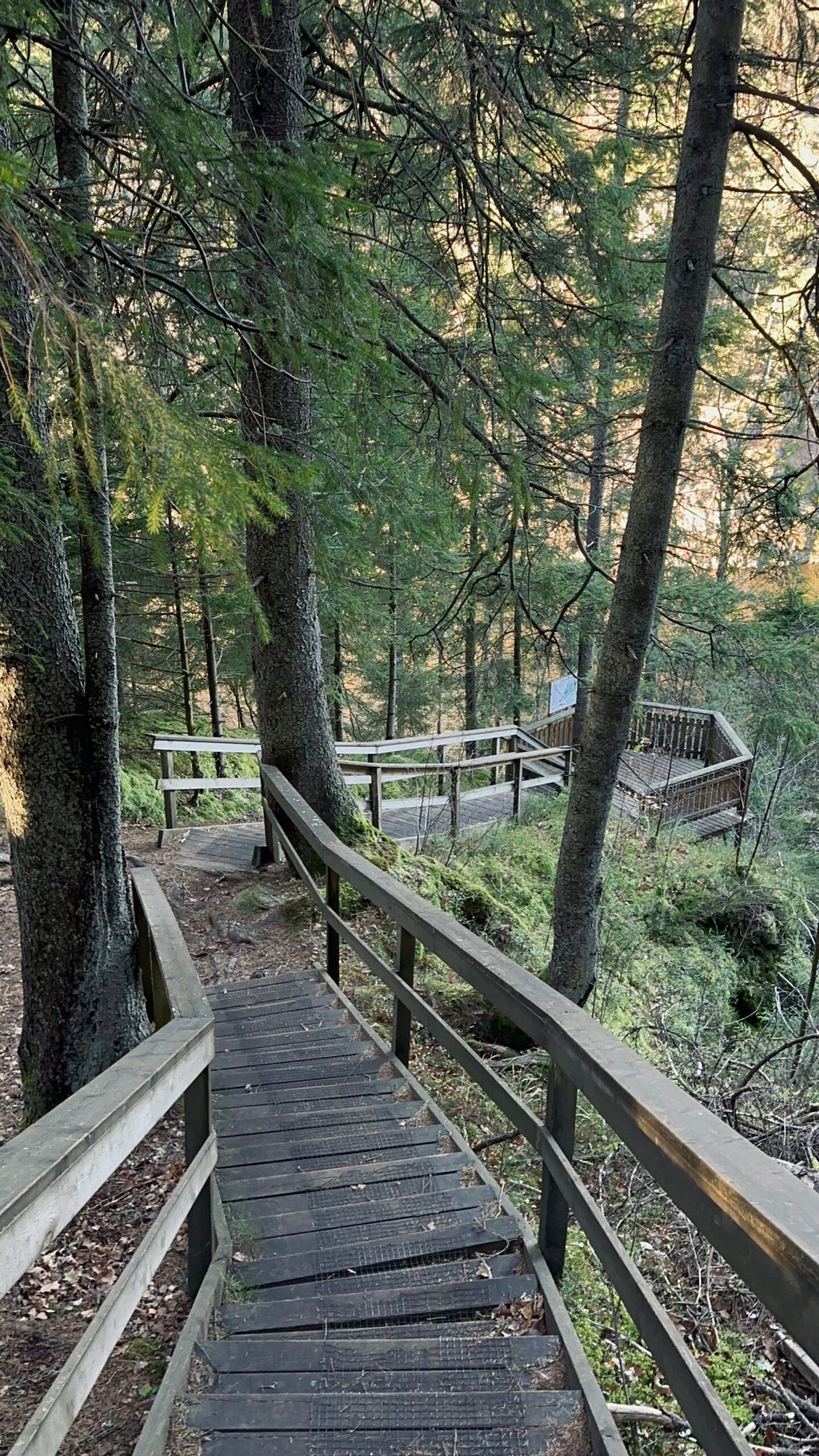 A wooden hiking trail going down a hill