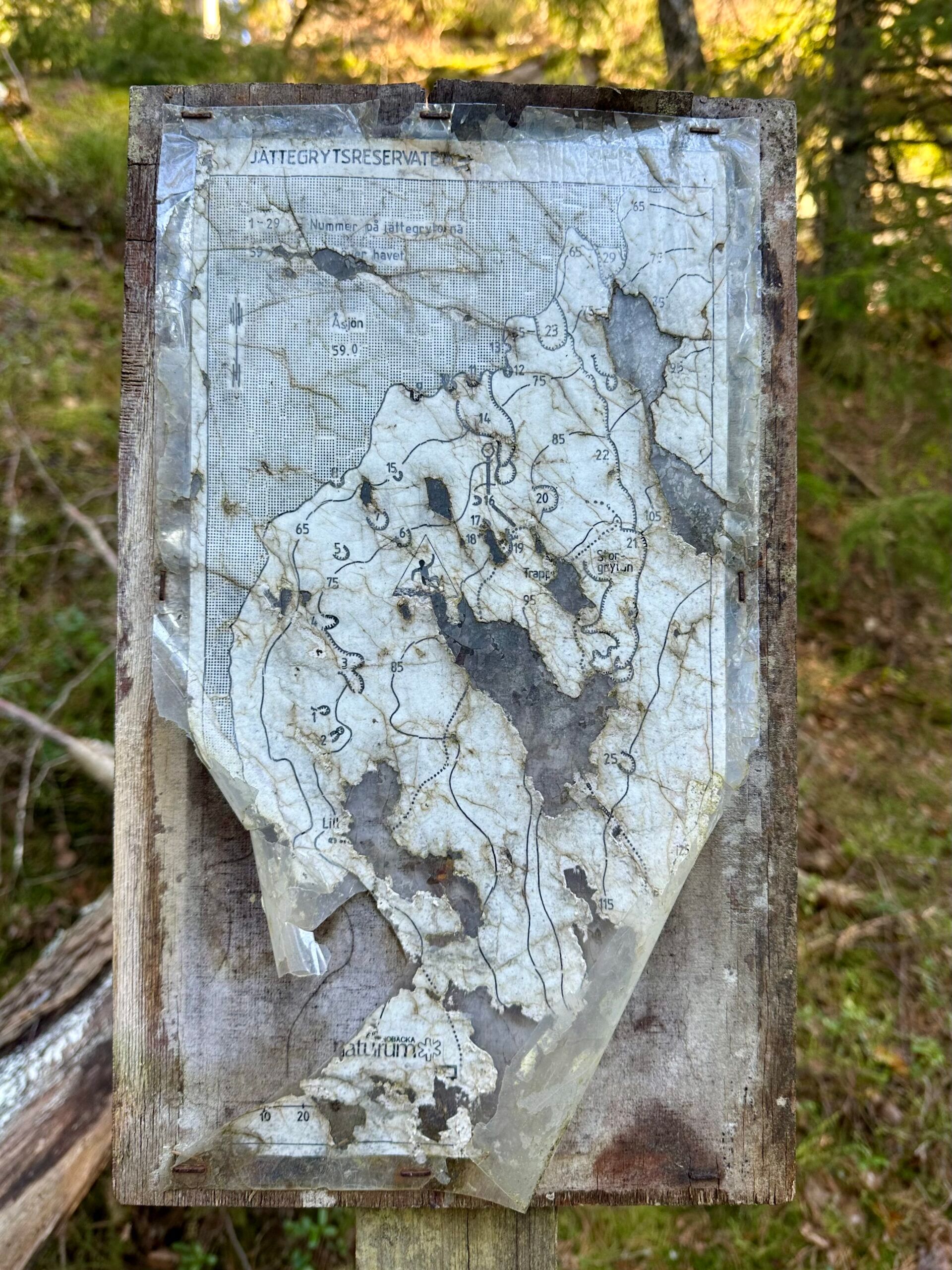 A decaying topographical map of a nature reserve from long ago