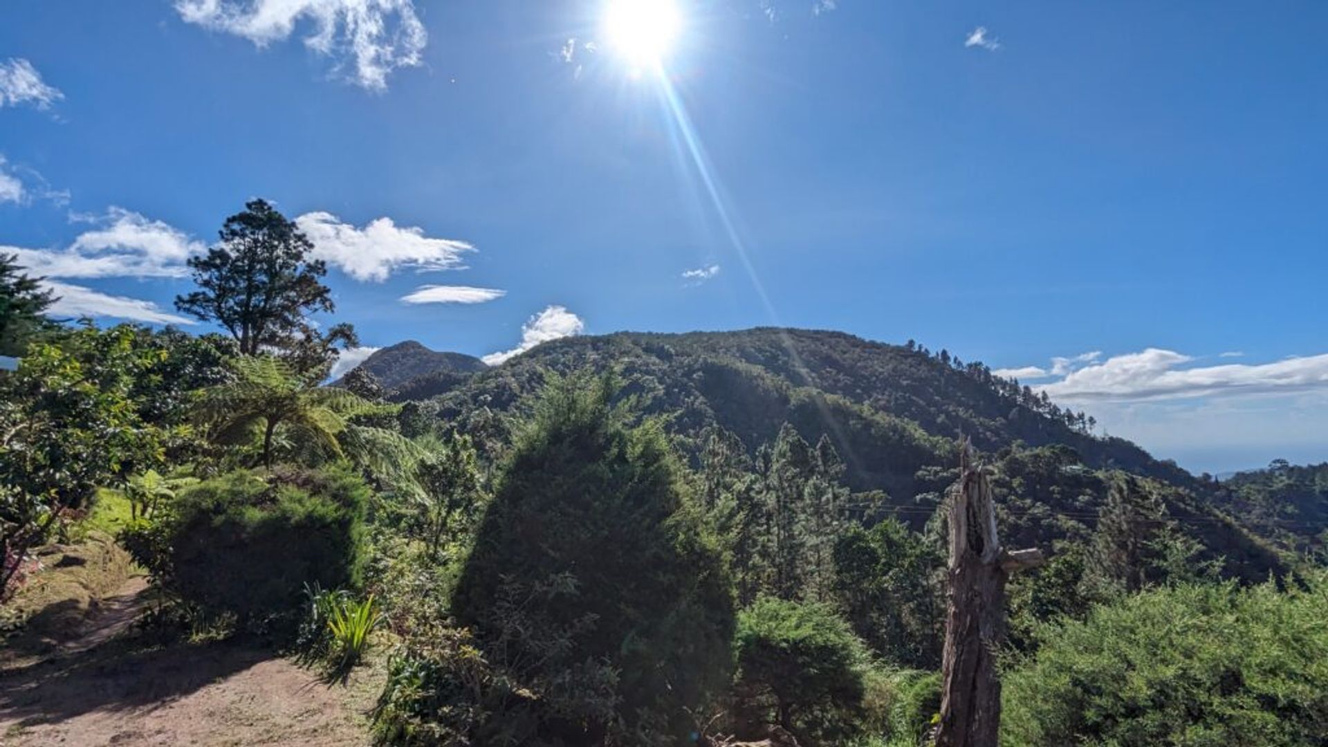 Picture of the landscape of the Blue Mountains in Jamaica with rolling hills, the blue sky and the sun.