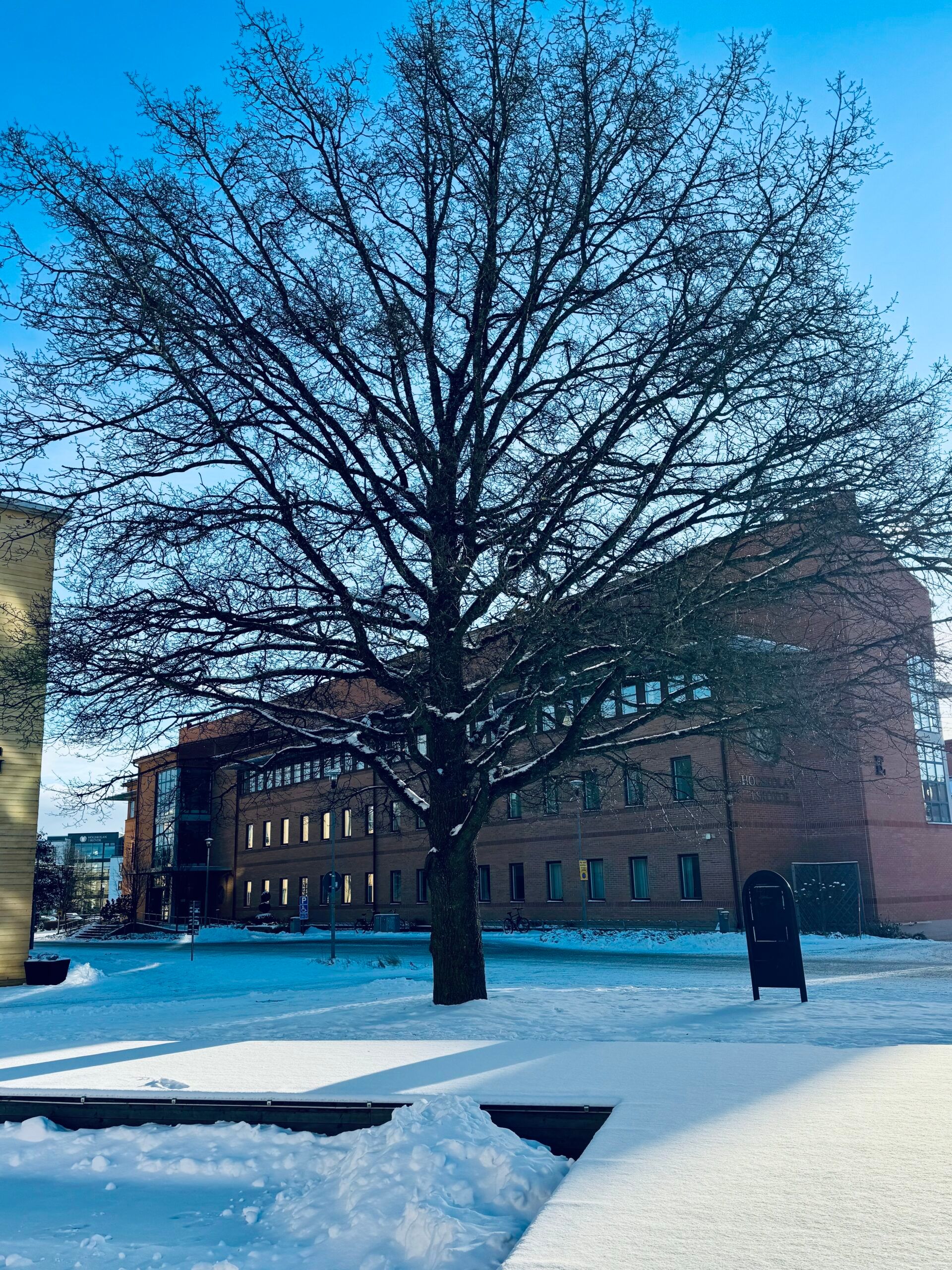 a snow covered landscape with buildings in the background