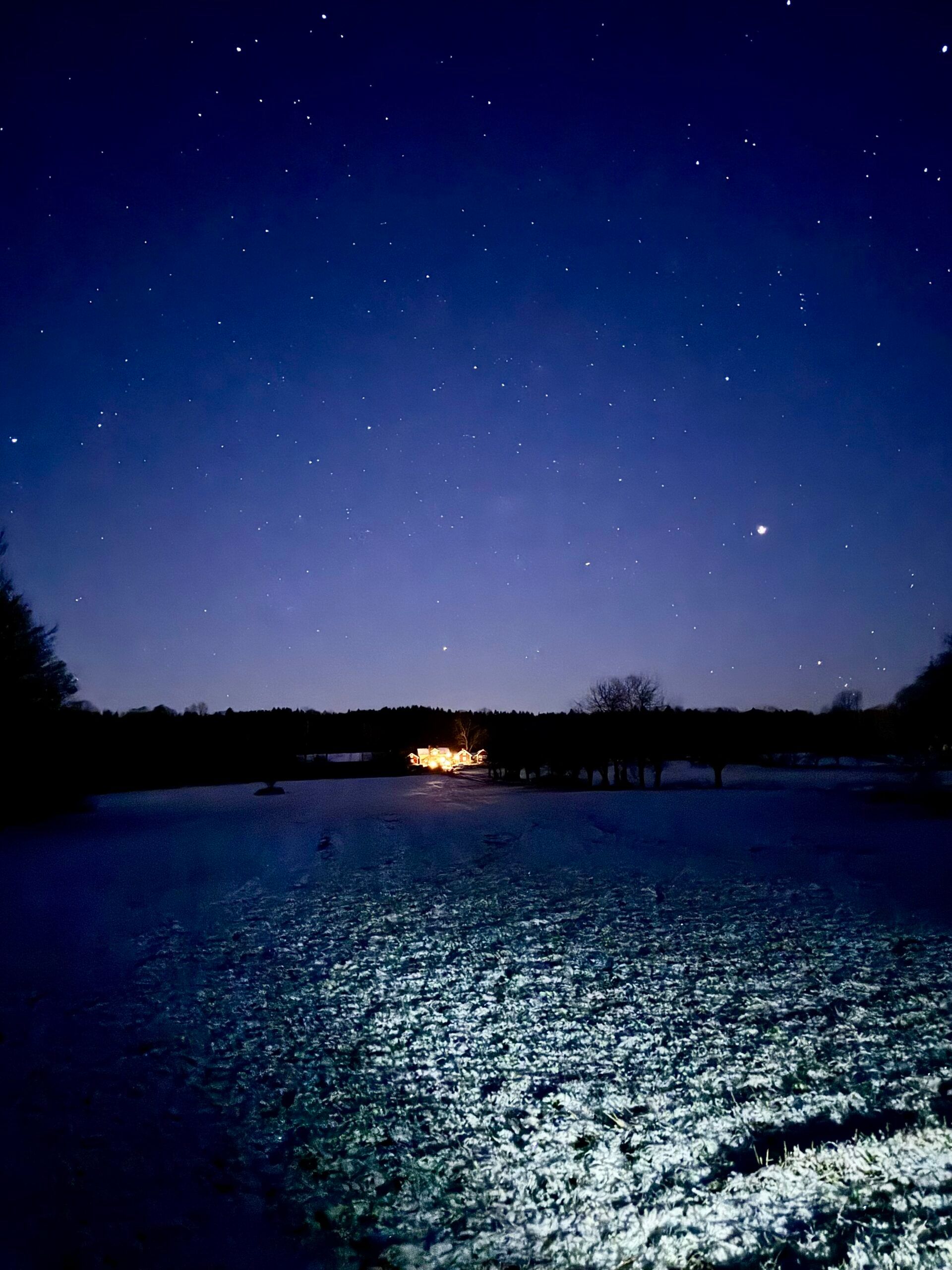 The star filled night sky and a snowy backdrop