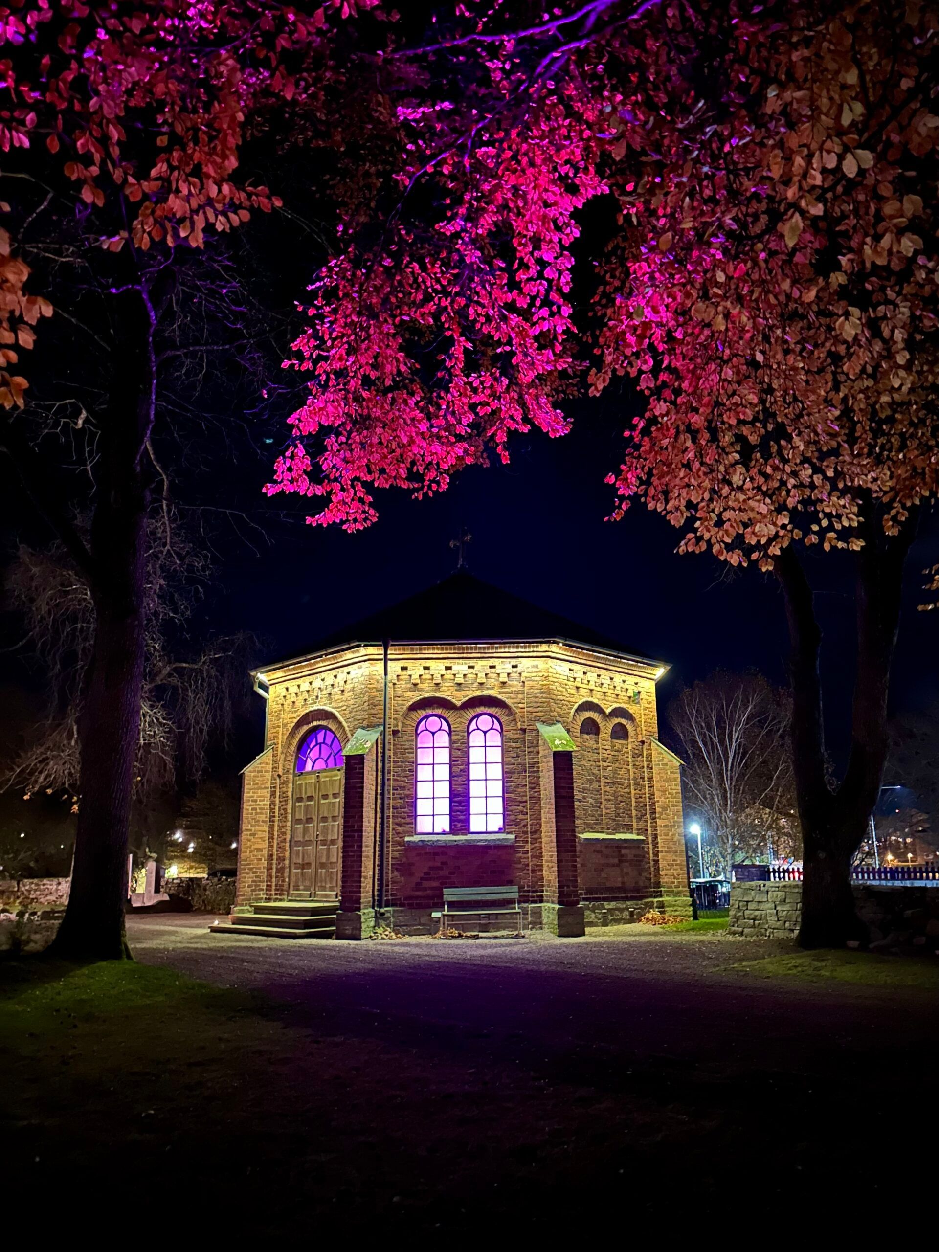 An exterior photo of a building with pink-lit tress surrounding