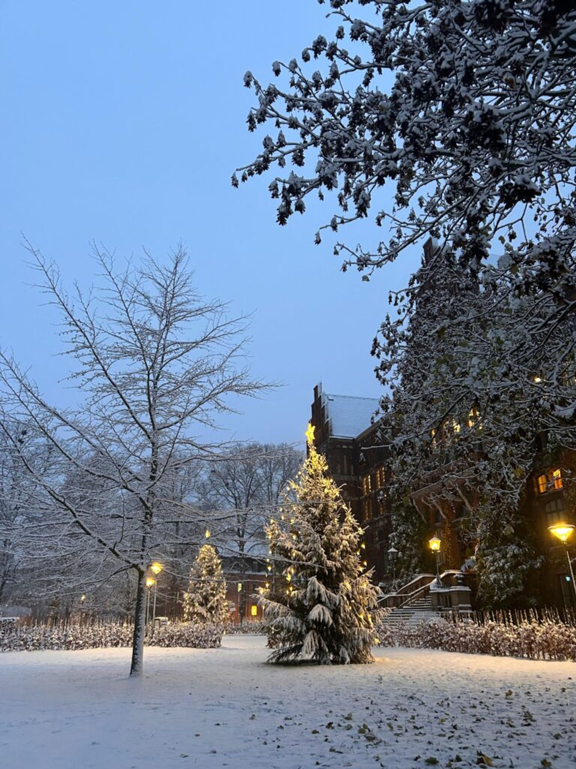 Main library and two christmas trees in Lund covered by snow.