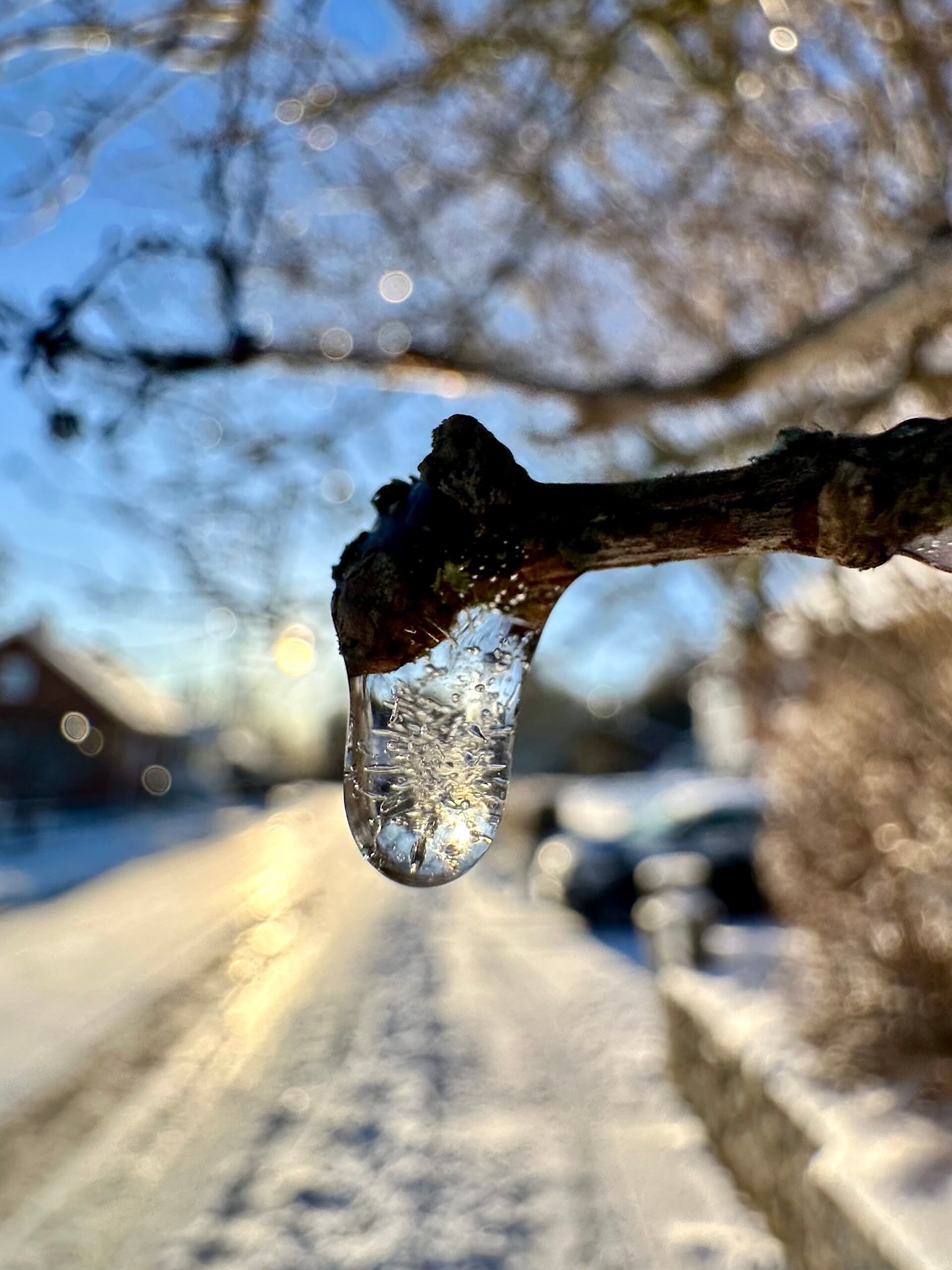 a frozen drop of water hanging from a branch