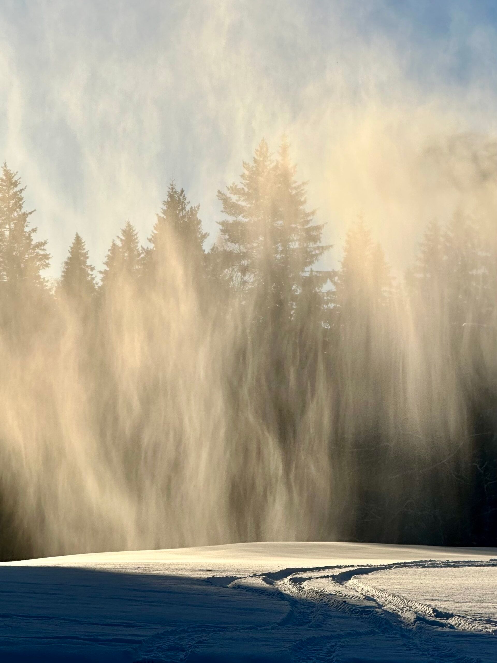 a snowy landscape with the sunlight emphasizing snowfall