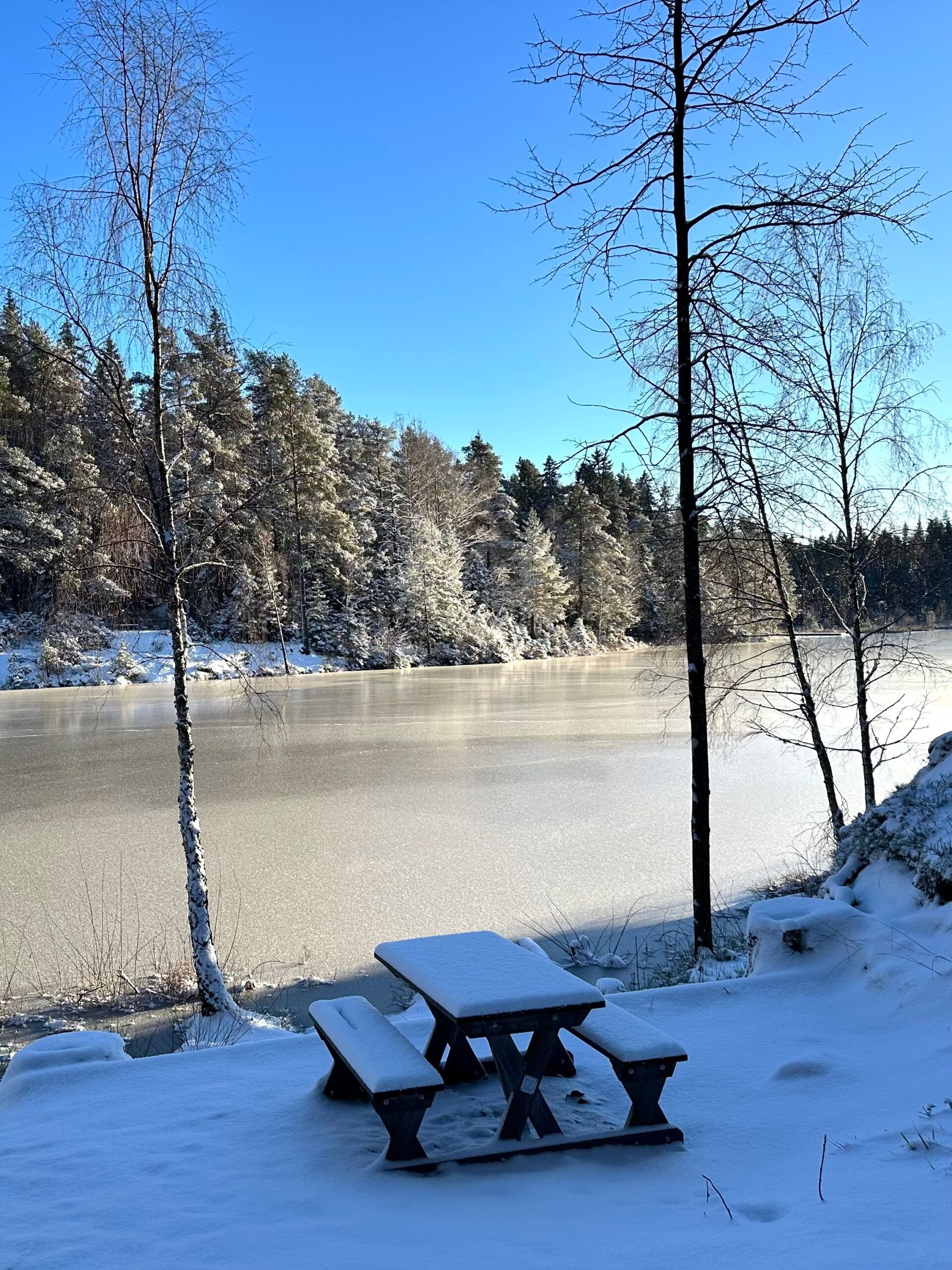 a bench and two stools covered in snow