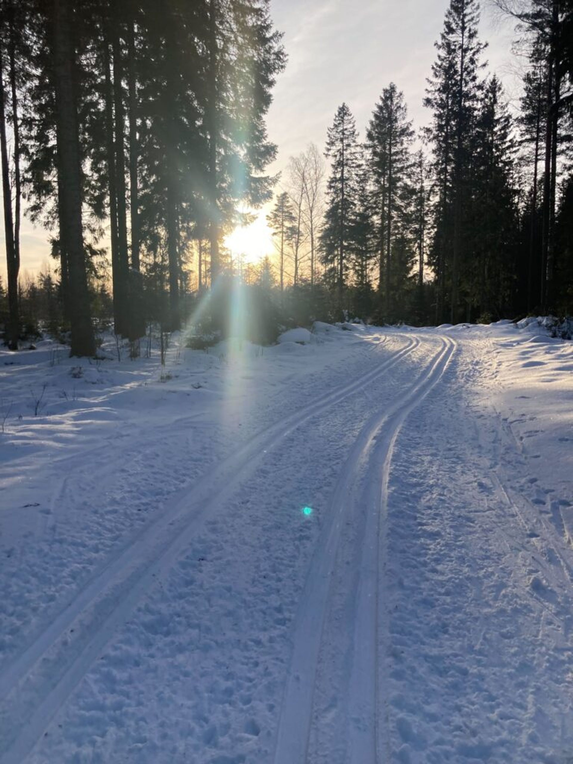 Sunset and snow tracks.