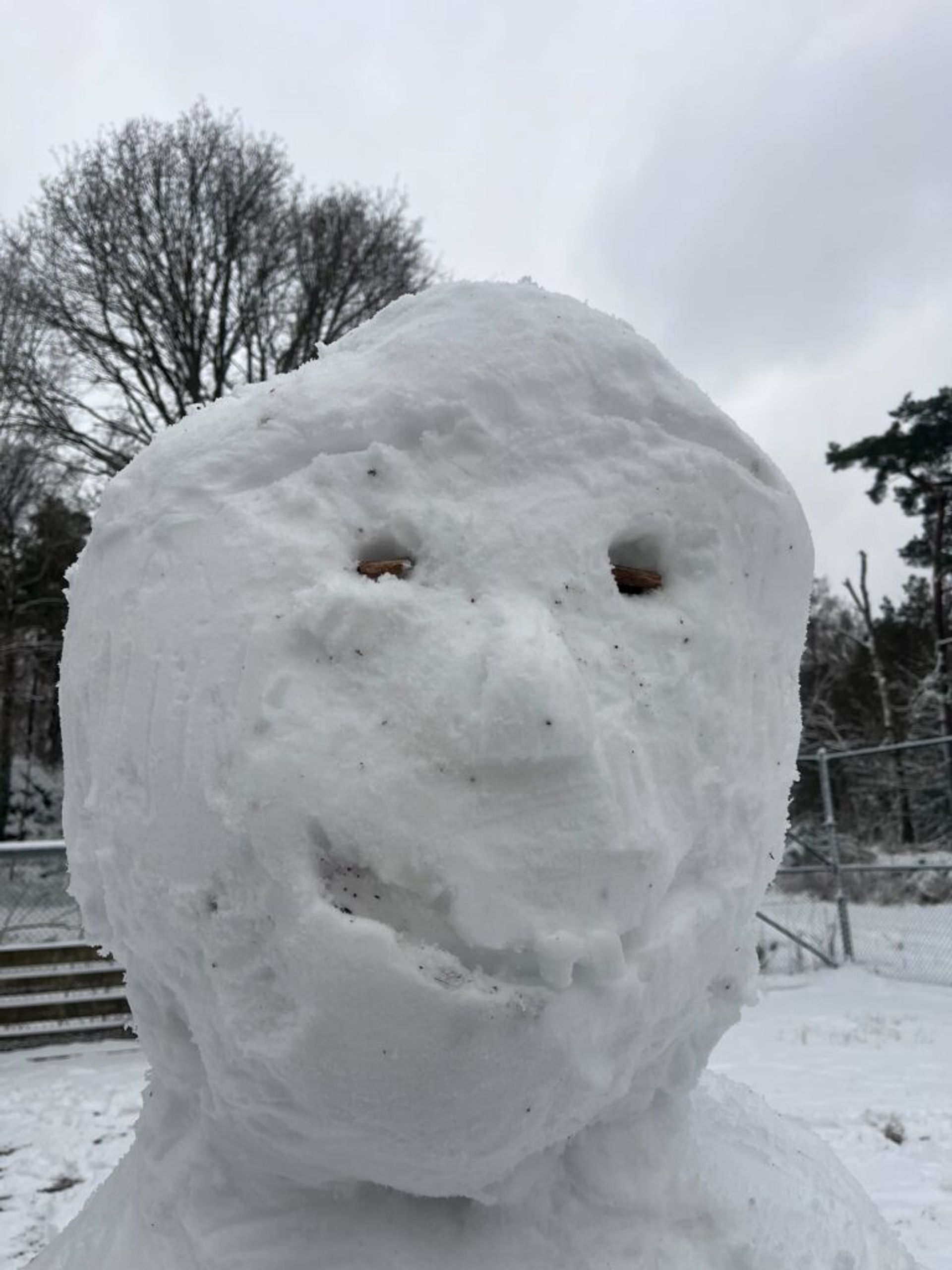 Snowman's face