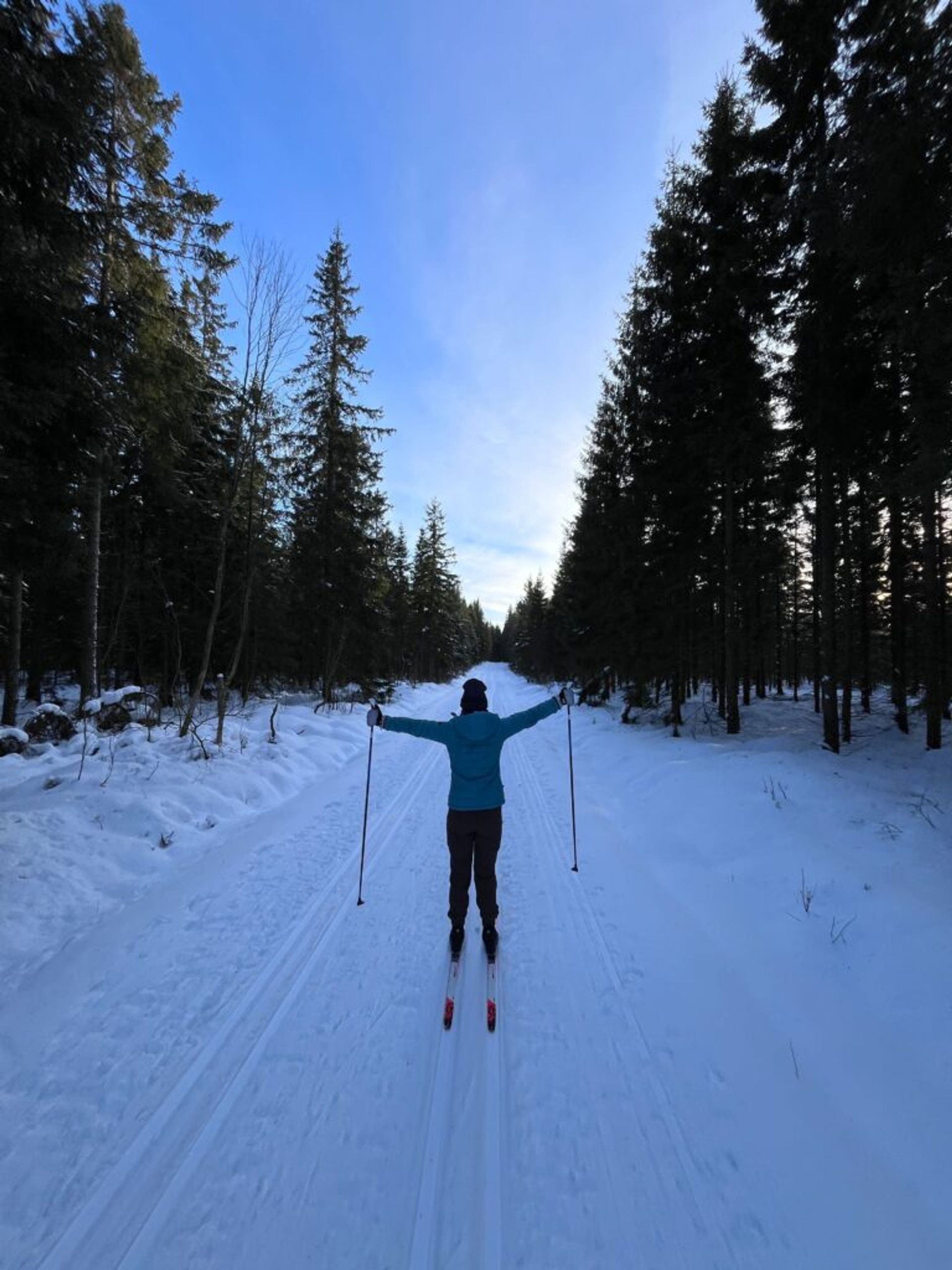 A girl cross-country skiing in a forest. 