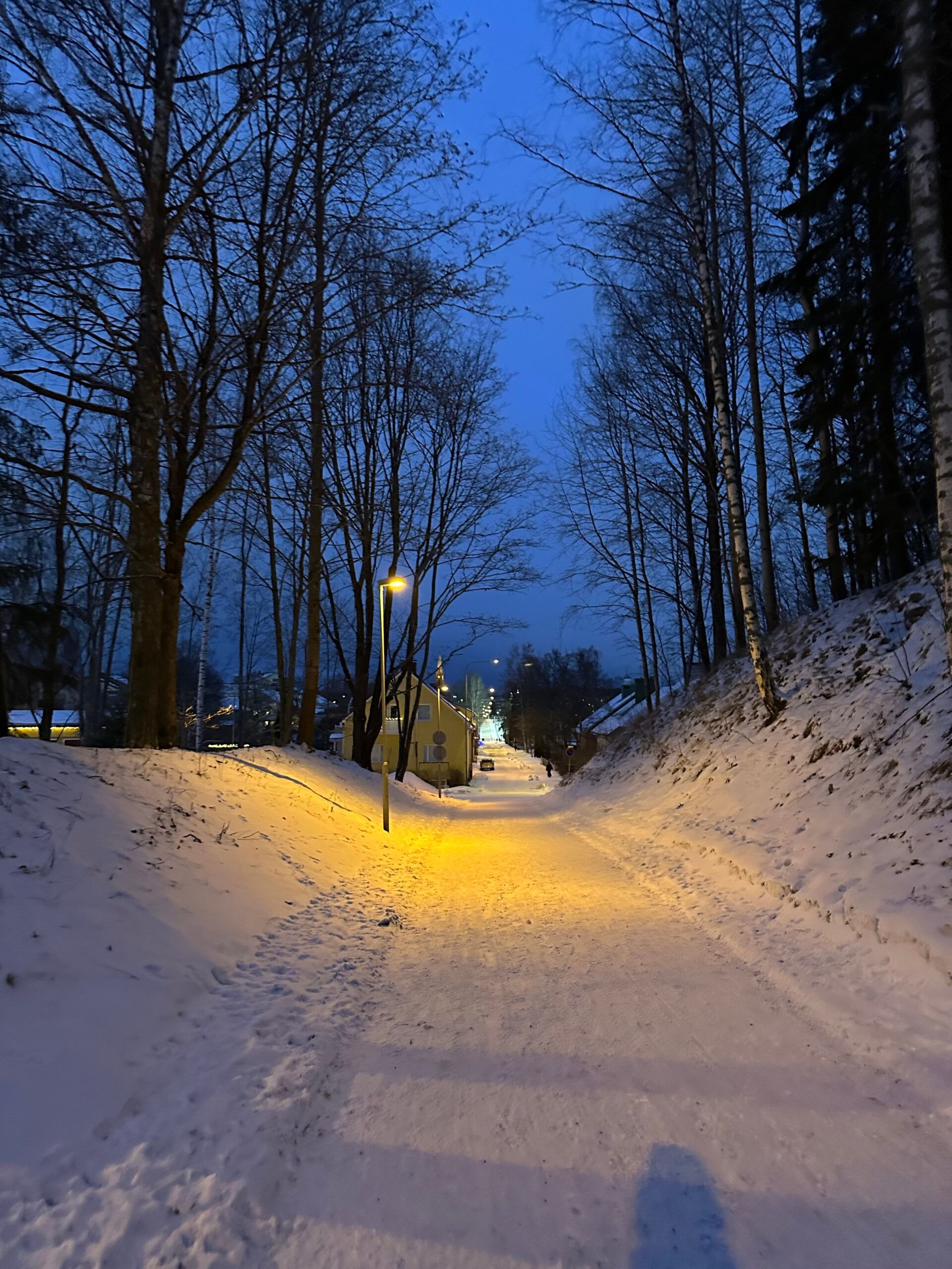 a snow filled road at dusk