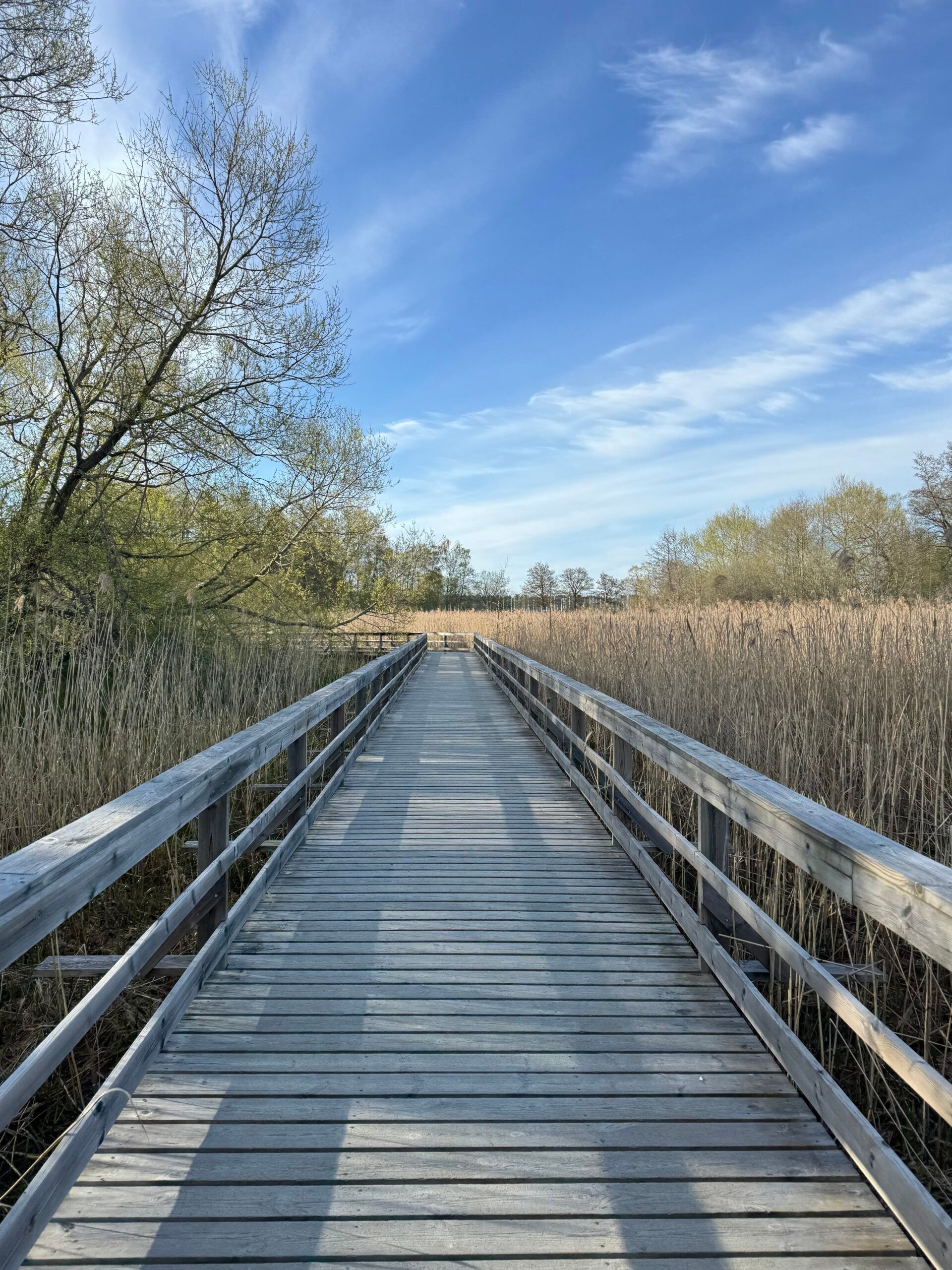 A photo of a wooden bridge