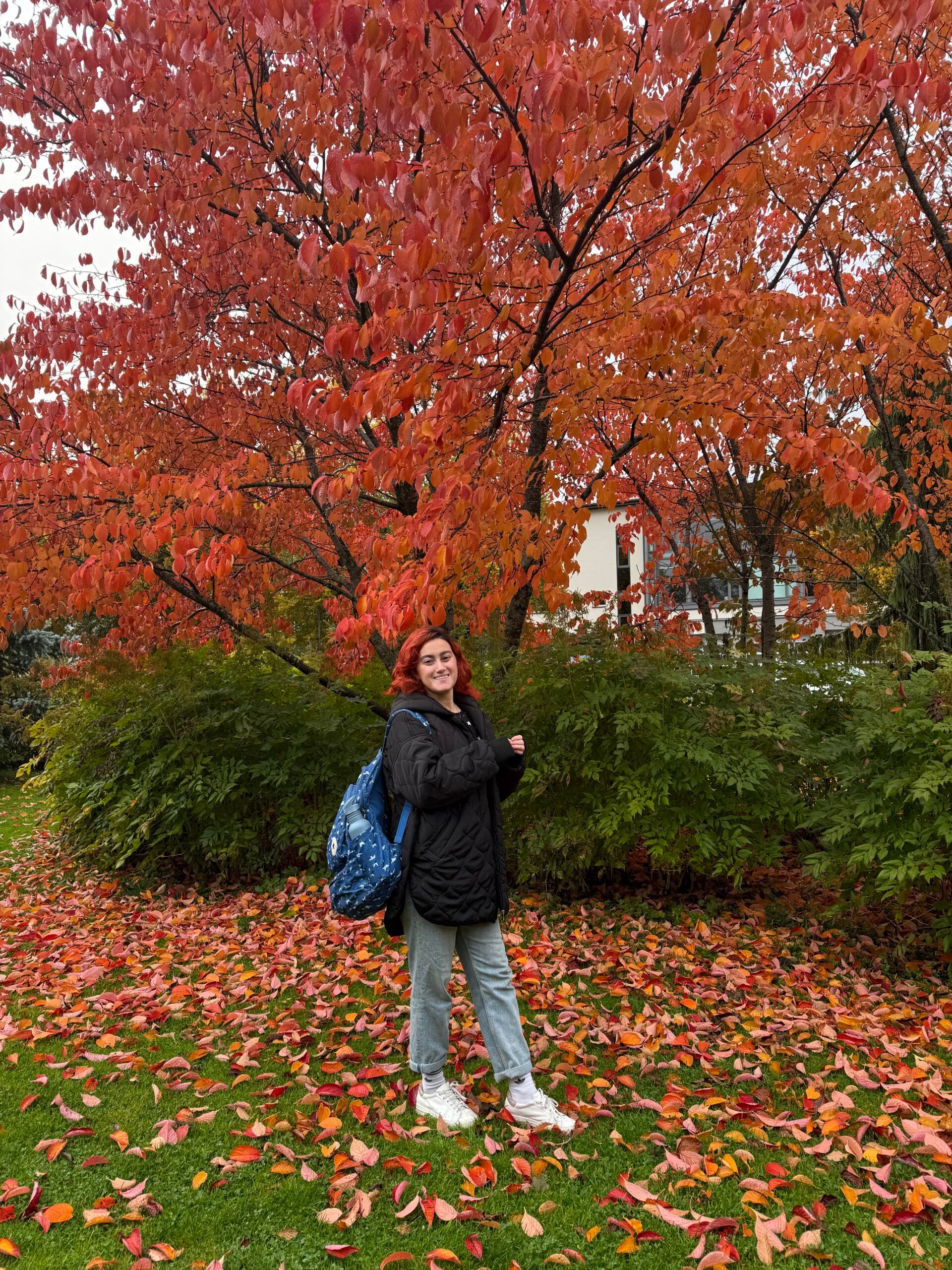 A girl standing under a tress with red leaves during autumn