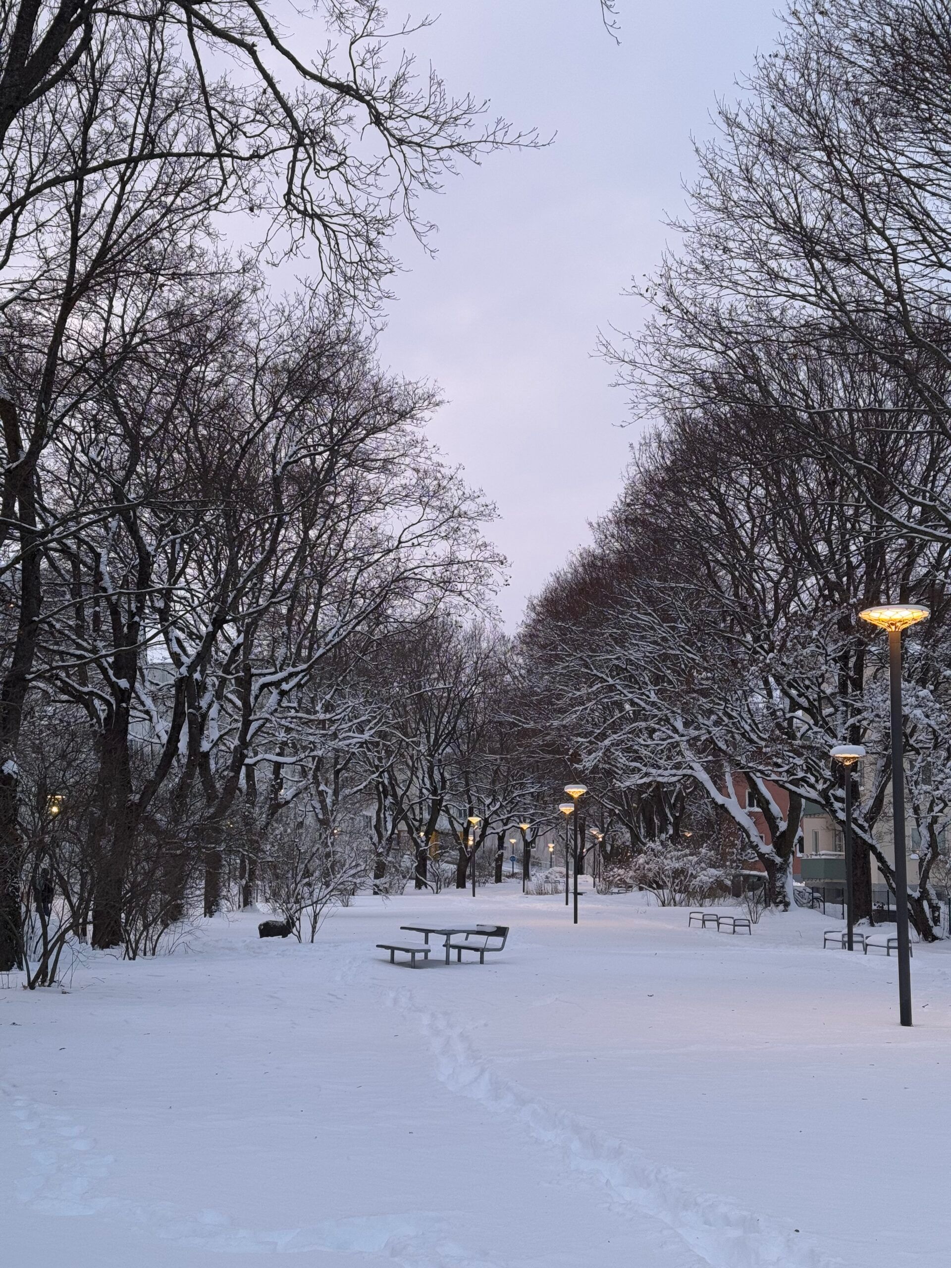 A snow covered park in Uppsala