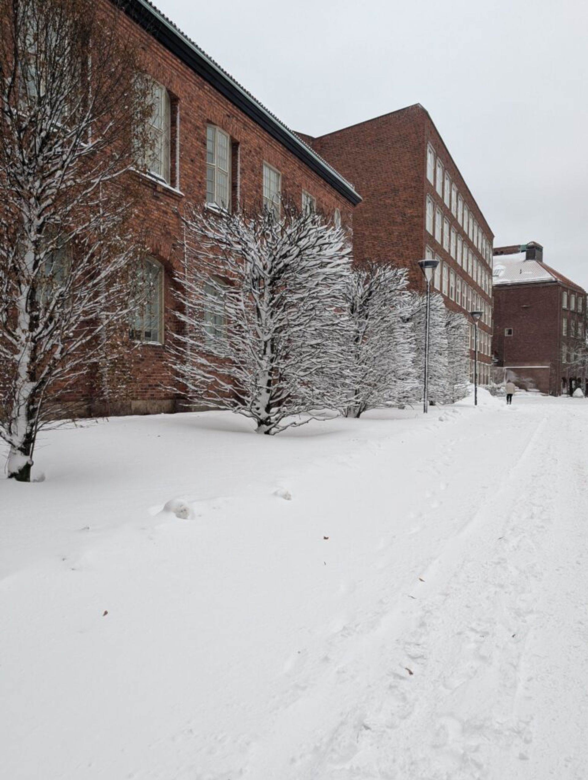 A pathway through red brick buildings with a lot of snow on the ground. Trees with no leaves are covered in snow waiting to melt. 